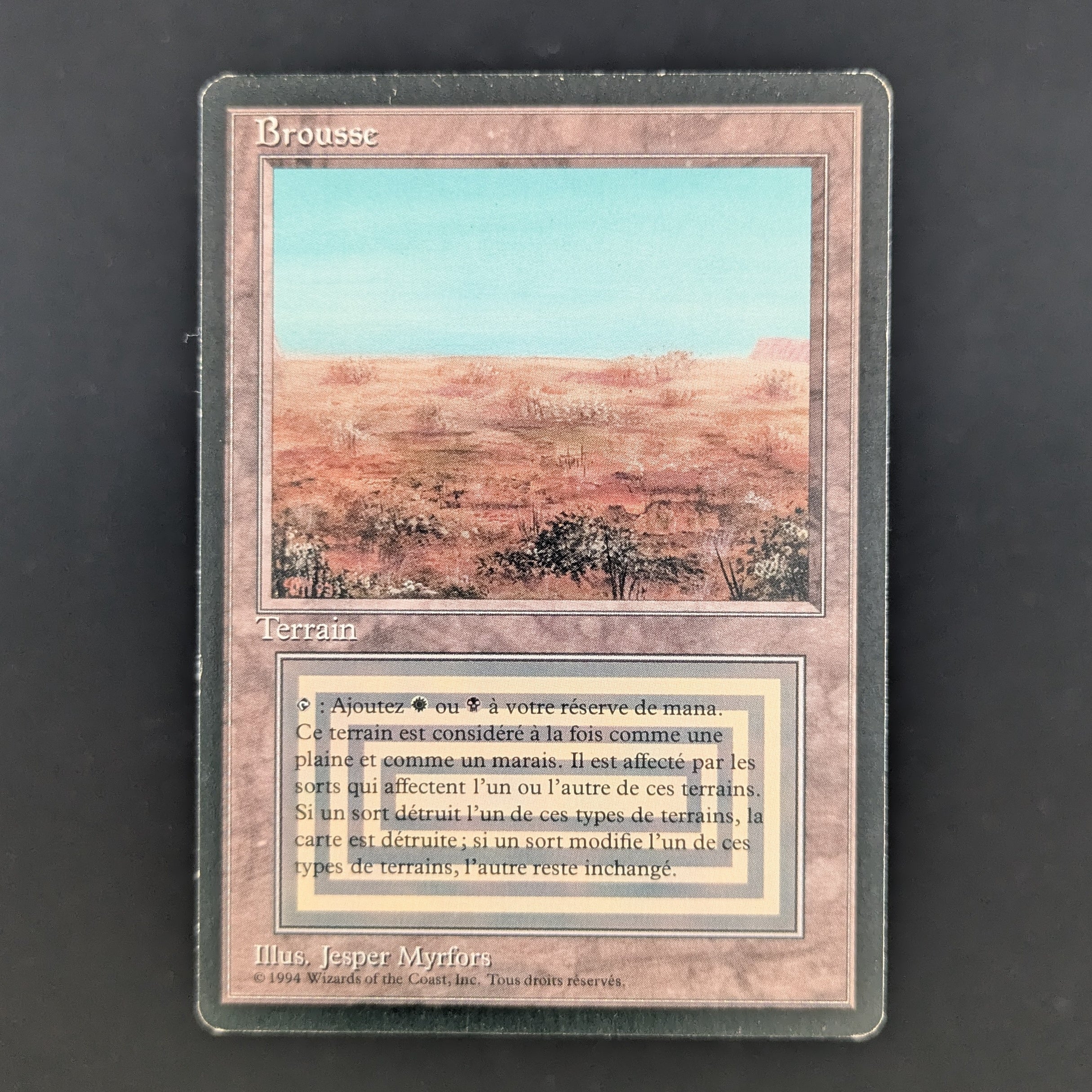 MTG Singles - Scrubland - Foreign Black Bordered - French - LP - 35279