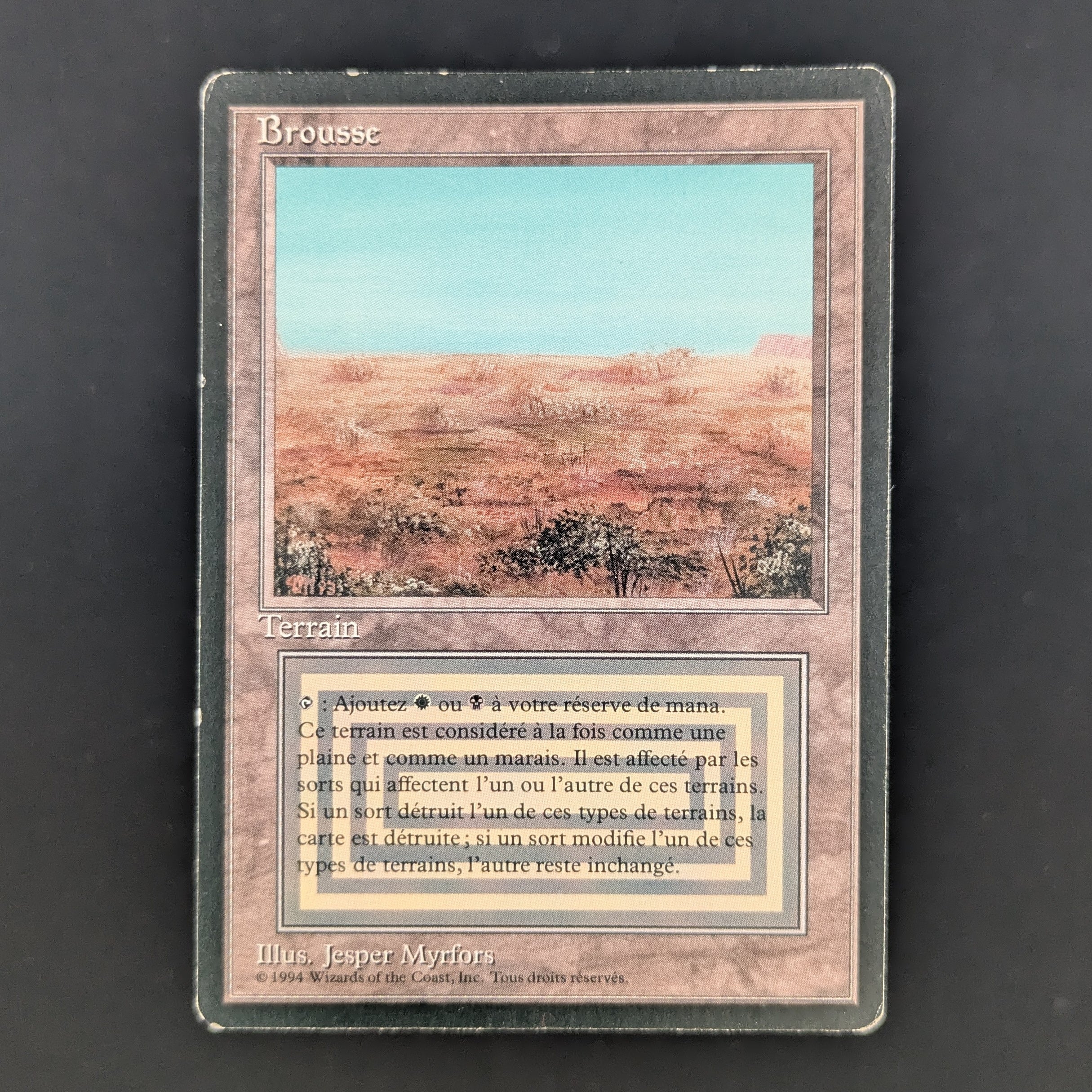 MTG Singles - Scrubland - Foreign Black Bordered - French - LP - 35280