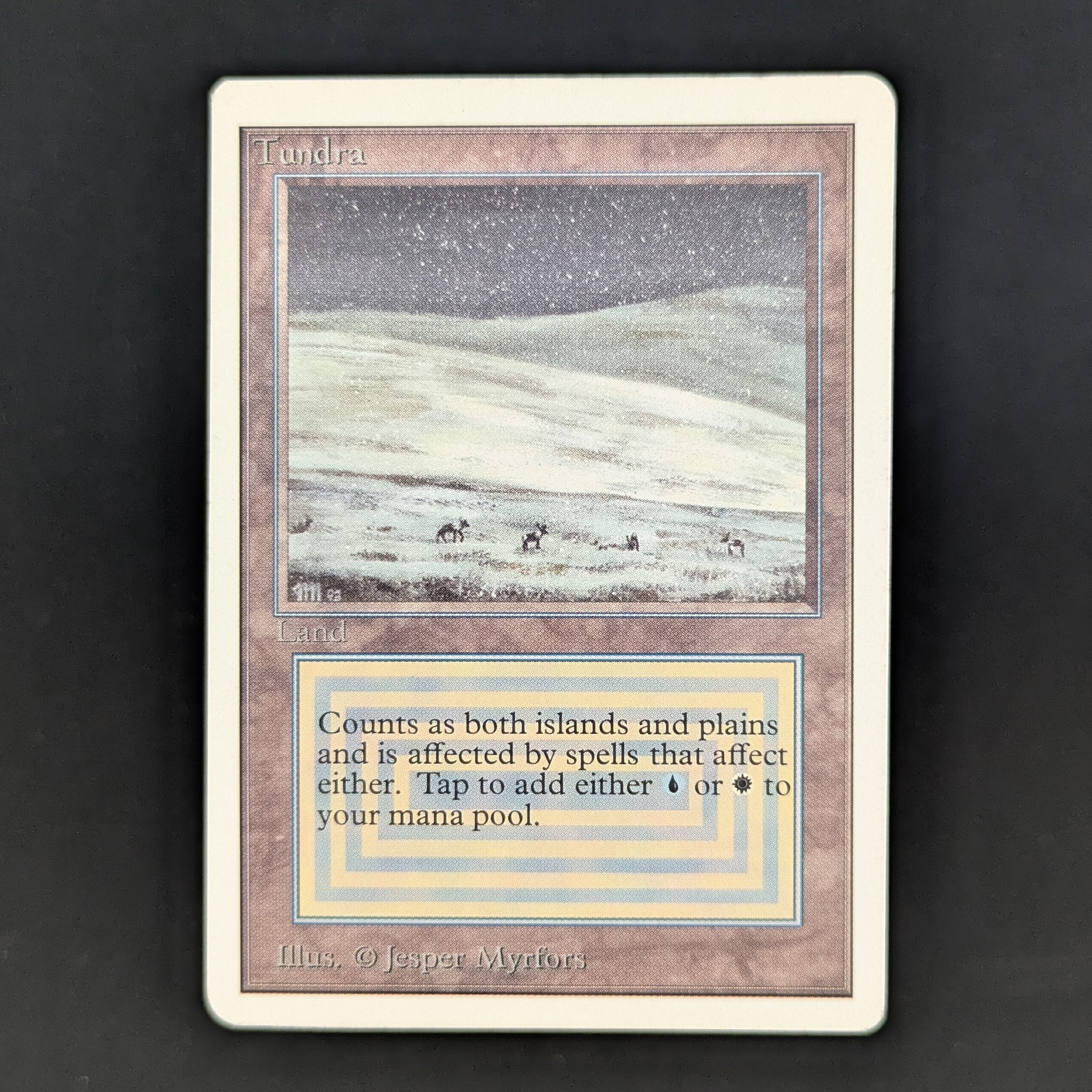 MTG Singles - Tundra - Unlimited - PL - 35446