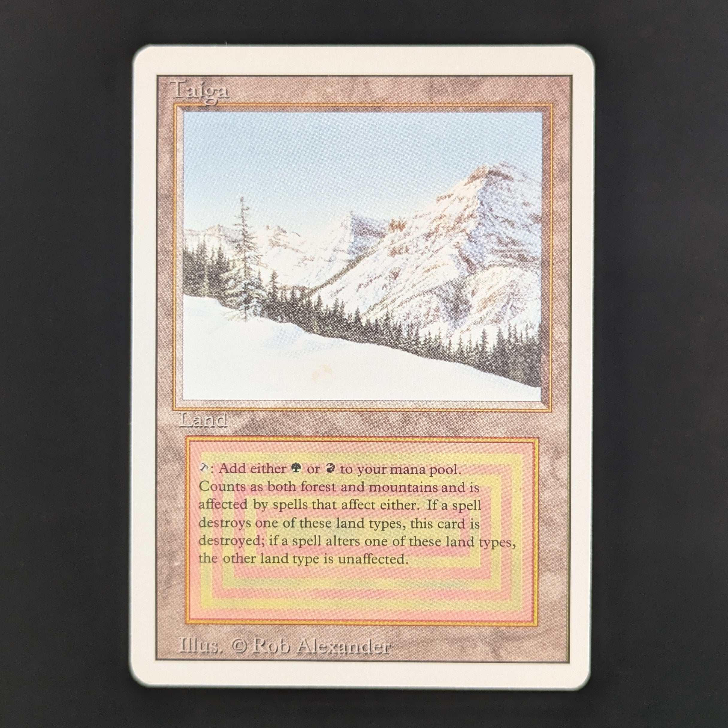 MTG Singles - Taiga - Revised - GD - 35553