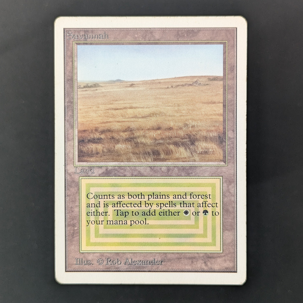 MTG Singles - Savannah - Unlimited - PL - 35951