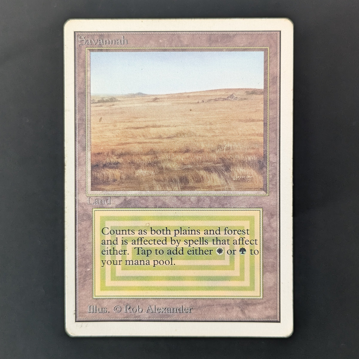 MTG Singles - Savannah - Unlimited - PO - 35952