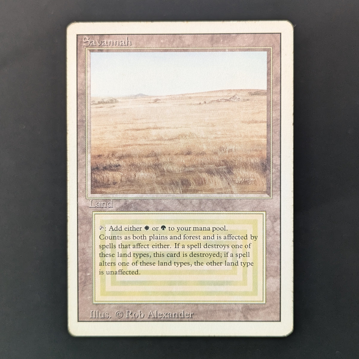 MTG Singles - Savannah - Revised - PL - 36025
