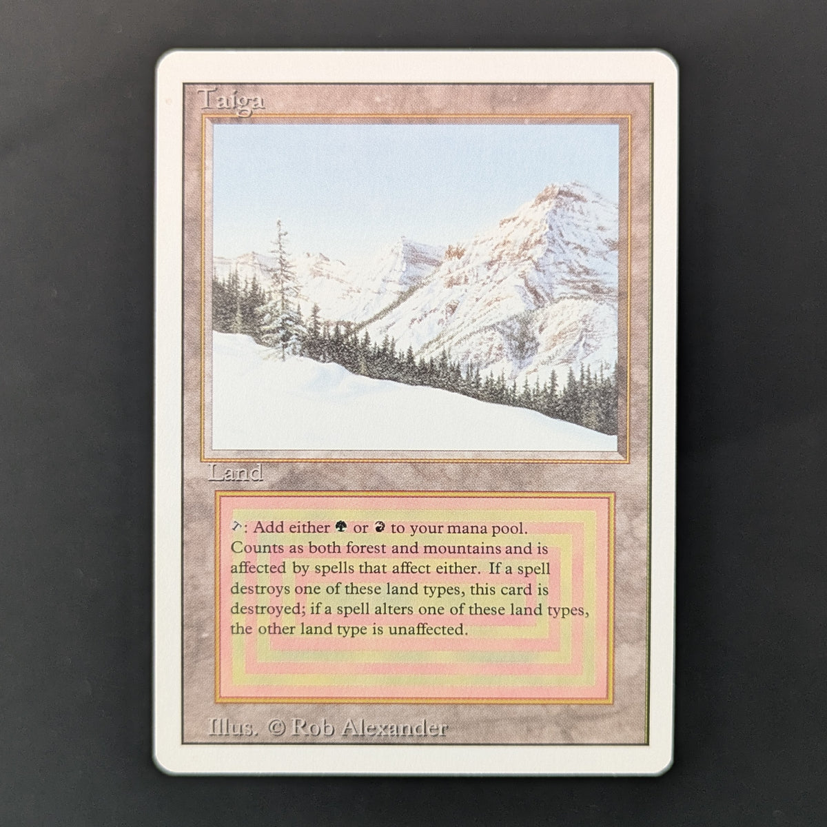 MTG Singles - Taiga - Revised - EX - 36027