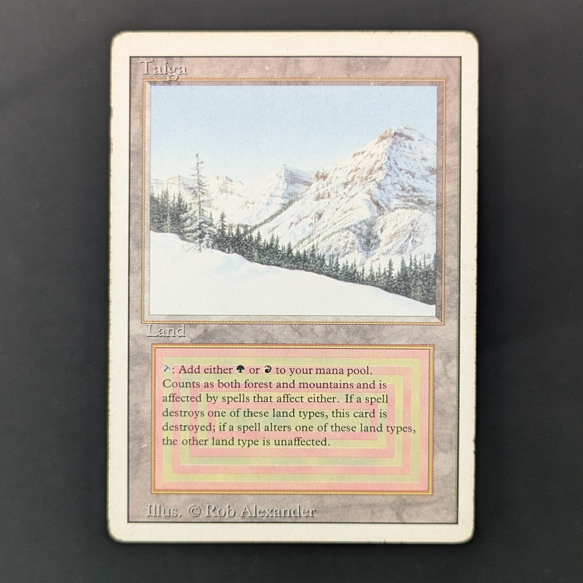 MTG Singles - Taiga - Revised - PL - 36028