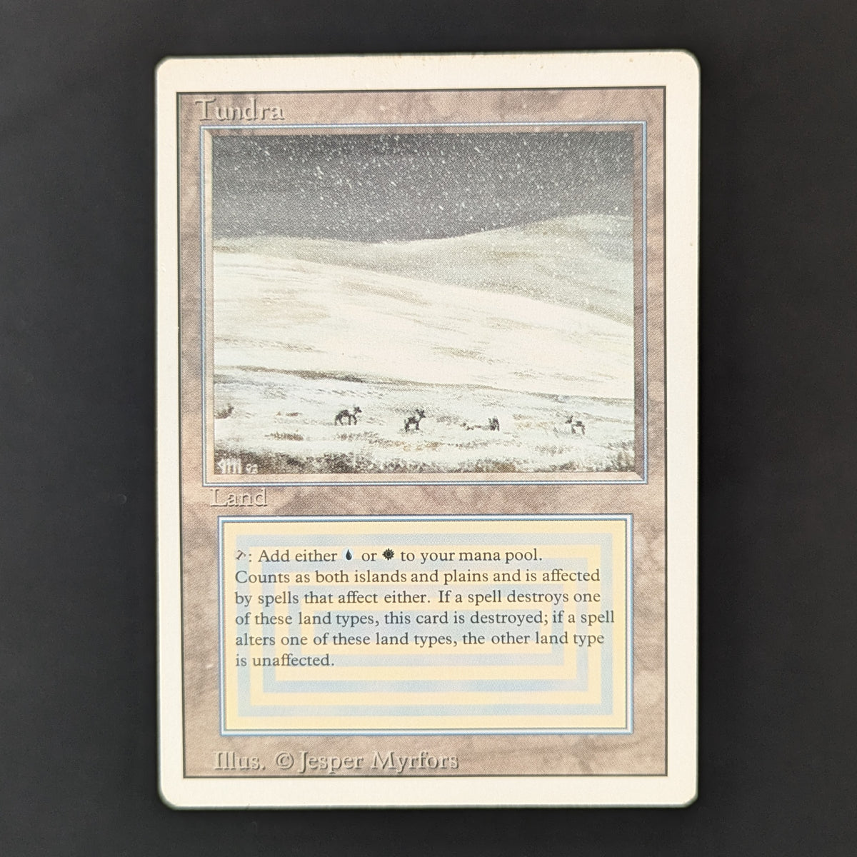 MTG Singles - Tundra - Revised - LP - 36256