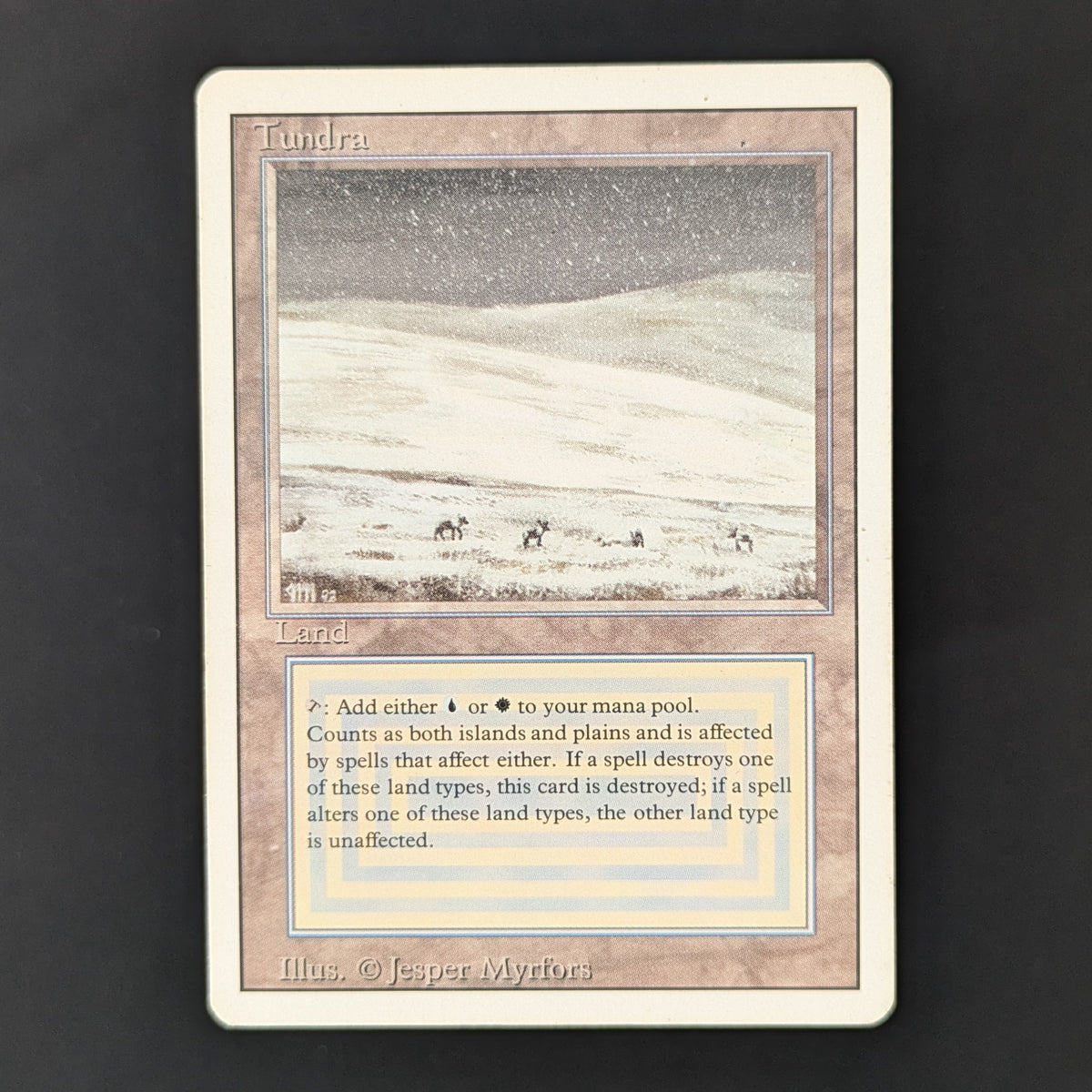 MTG Singles - Tundra - Revised - PL - 36258