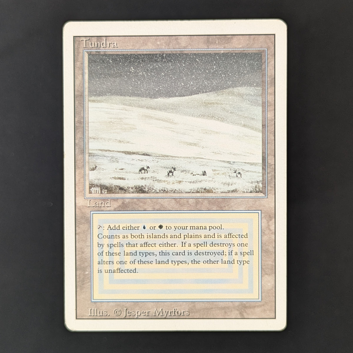 MTG Singles - Tundra - Revised - PL - 36264