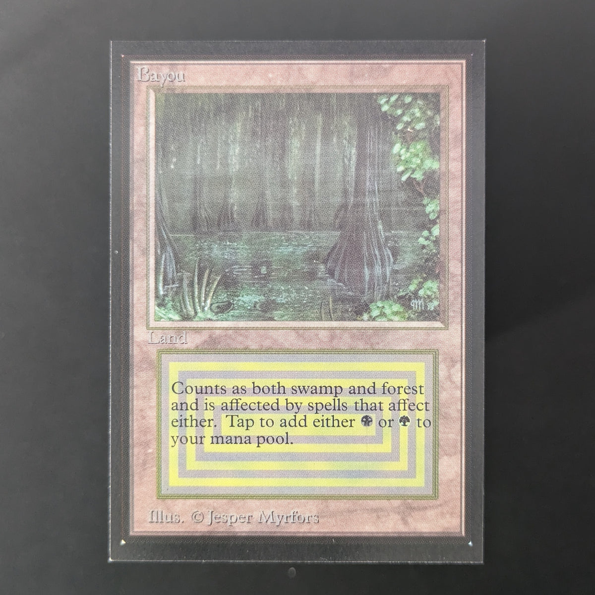 MTG Singles - Bayou - Collectors' Edition - NM - 36474