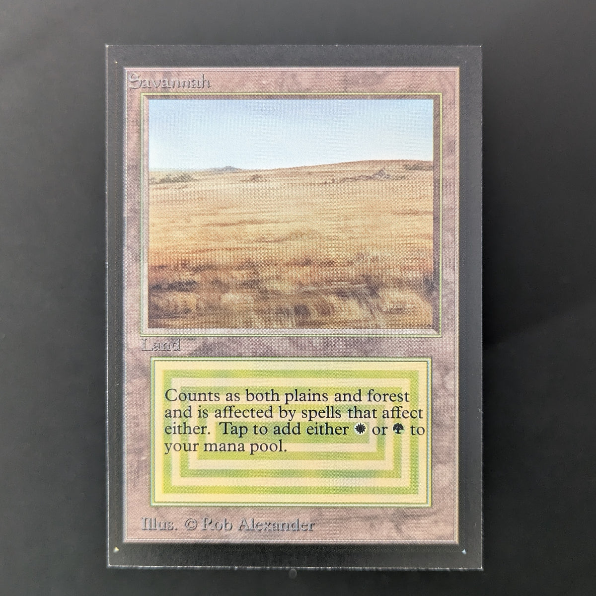 MTG Singles - Savannah - Collectors' Edition - NM - 36476