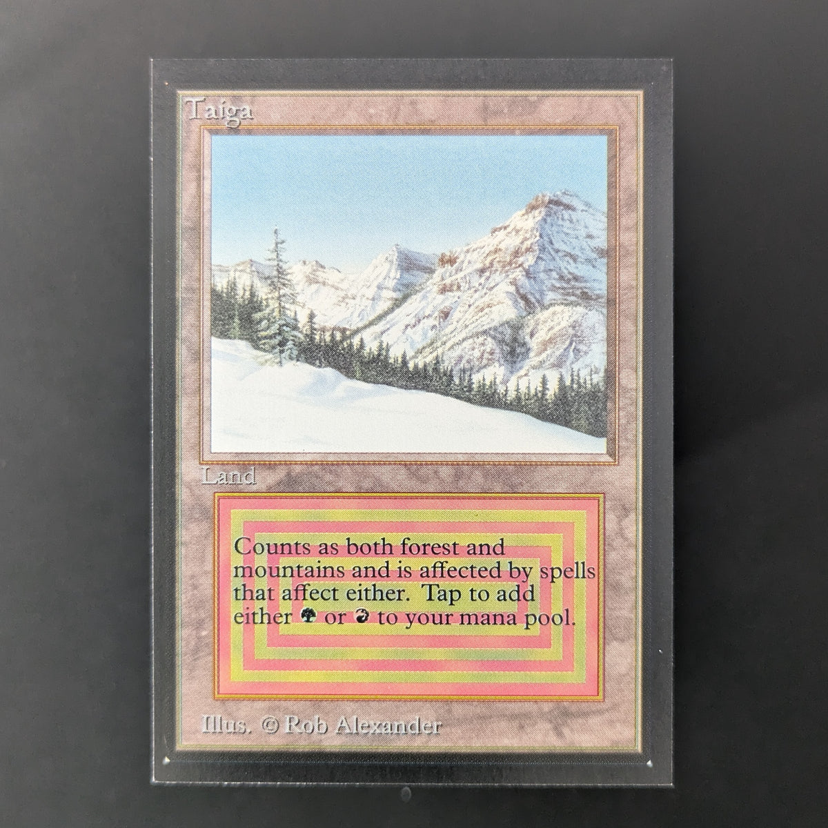 MTG Singles - Taiga - Collectors' Edition - NM - 36478
