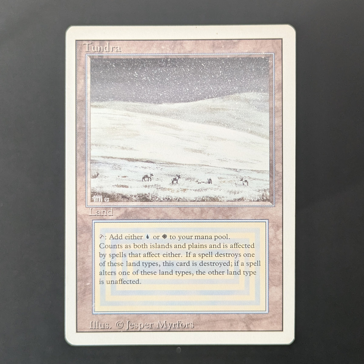 MTG Singles - Tundra - Revised - LP - 36483