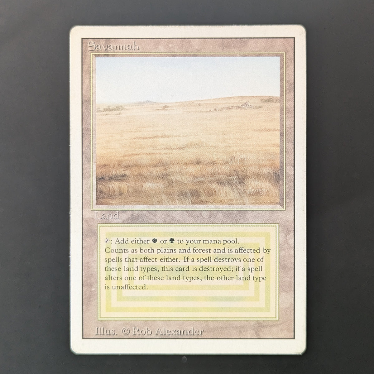 MTG Singles - Savannah - Revised - PL - 36496