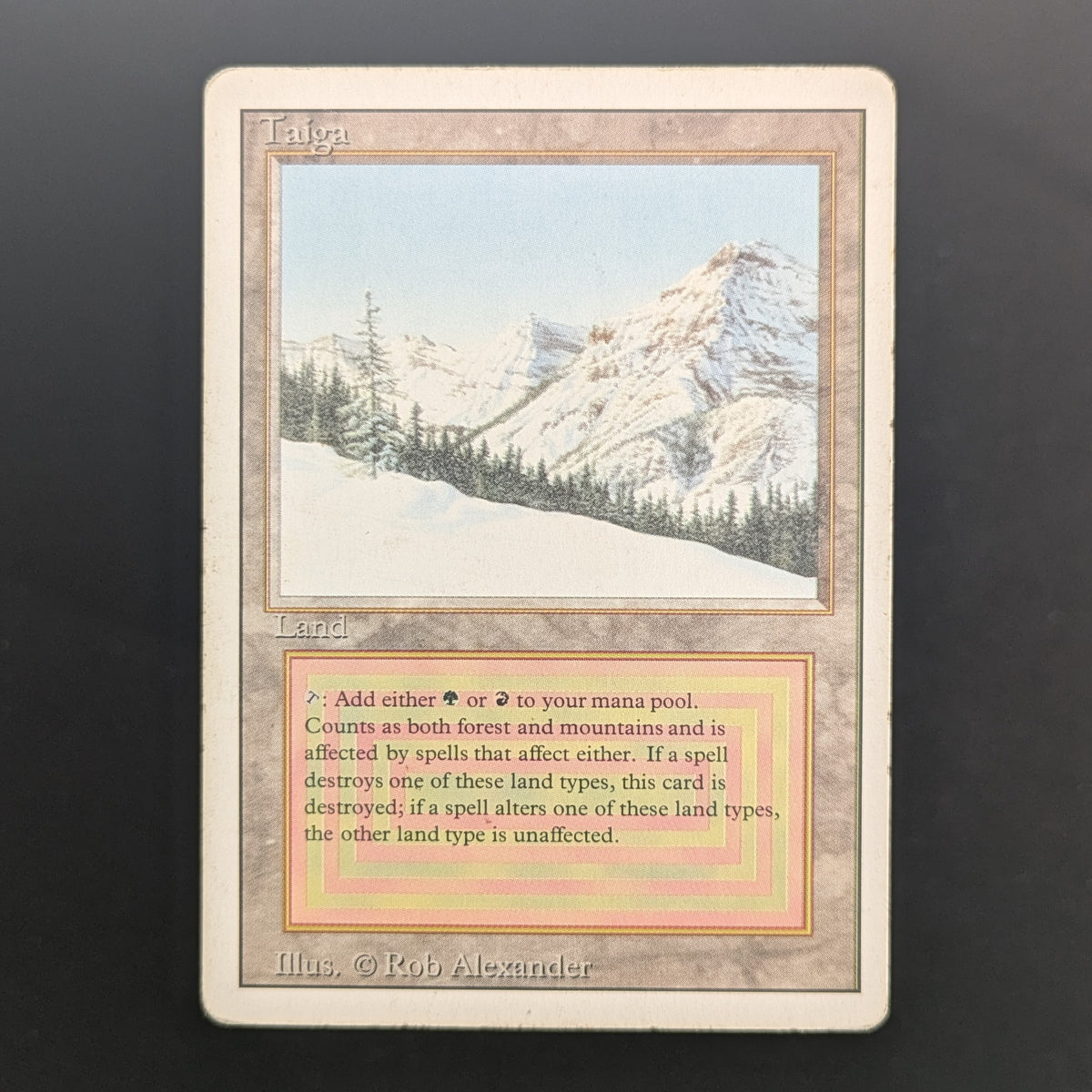 MTG Singles - Taiga - Revised - PL - 36926