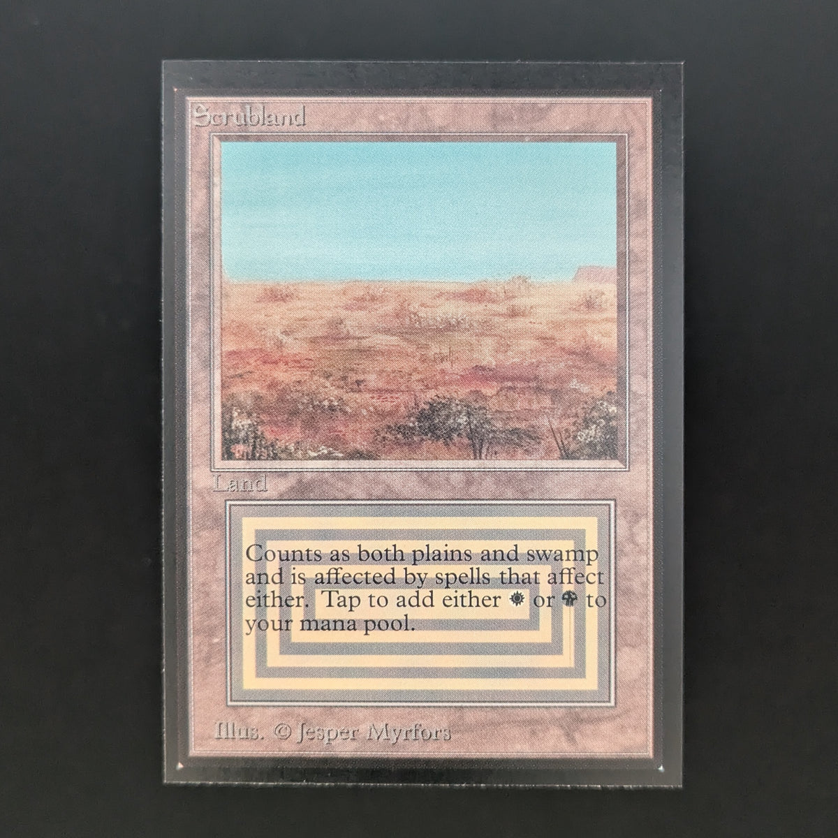 MTG Singles - Scrubland - International Edition - NM - 37079