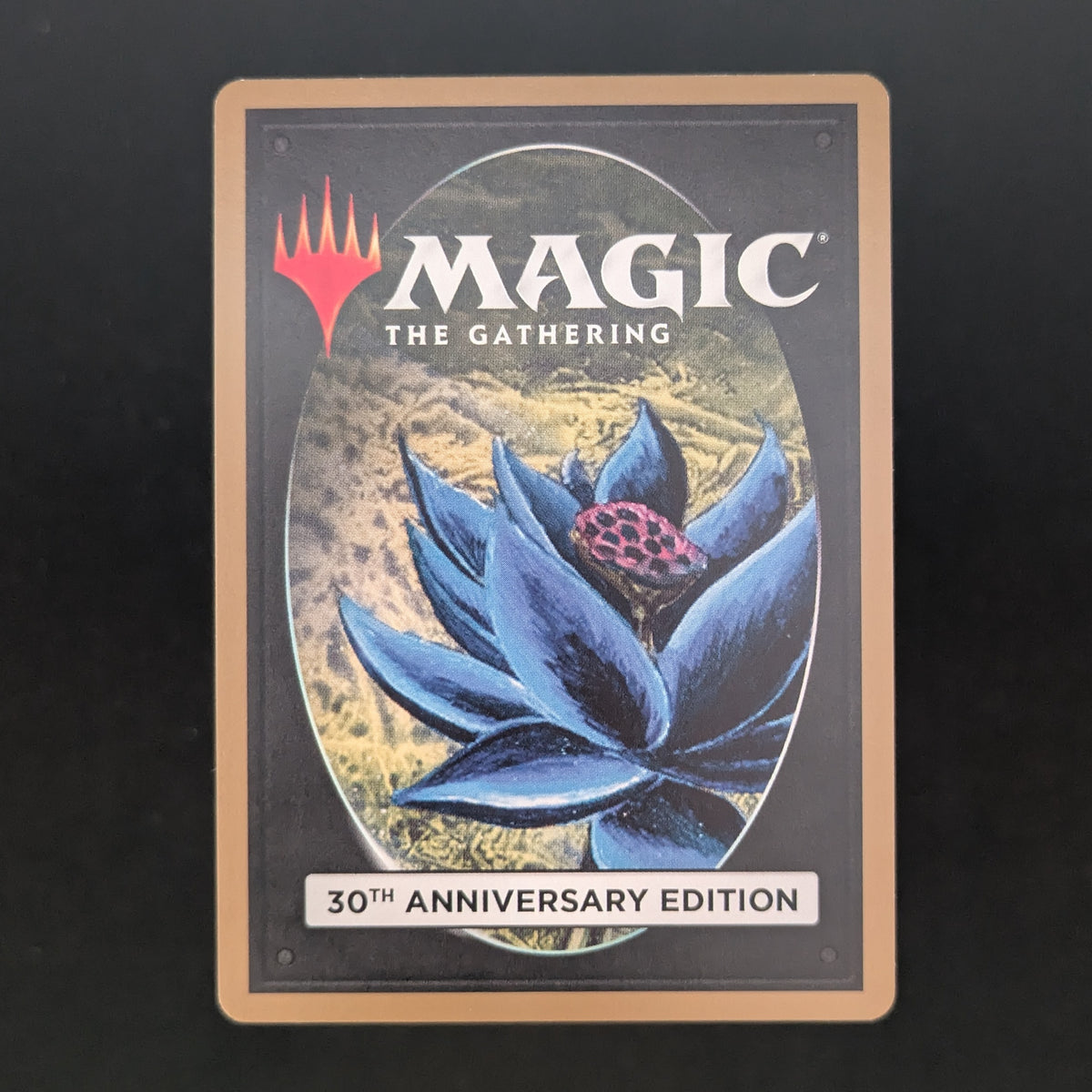 MTG Singles - Volcanic Island (Modern Frame) - 30th Anniversary Edition -