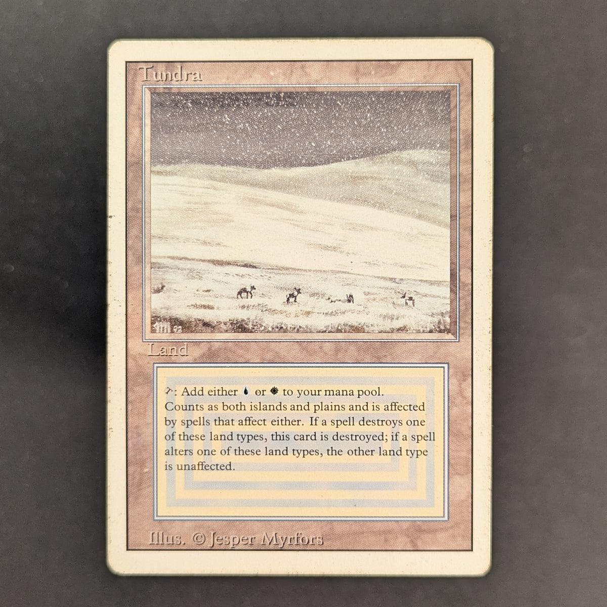 MTG Singles - Tundra - Revised - PL - 37169