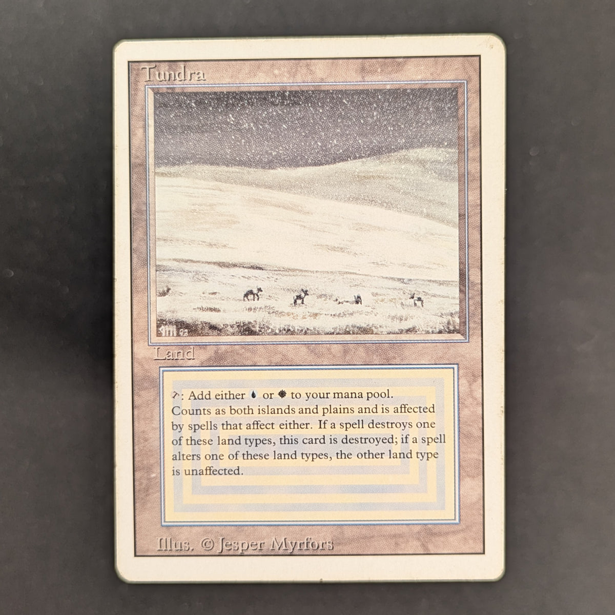 MTG Singles - Tundra - Revised - PL - 37170