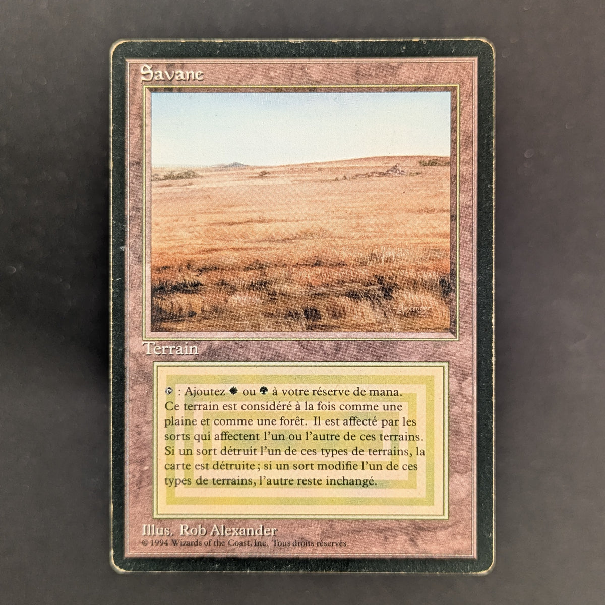 MTG Singles - Savannah - Foreign Black Bordered - French - PL - 37263