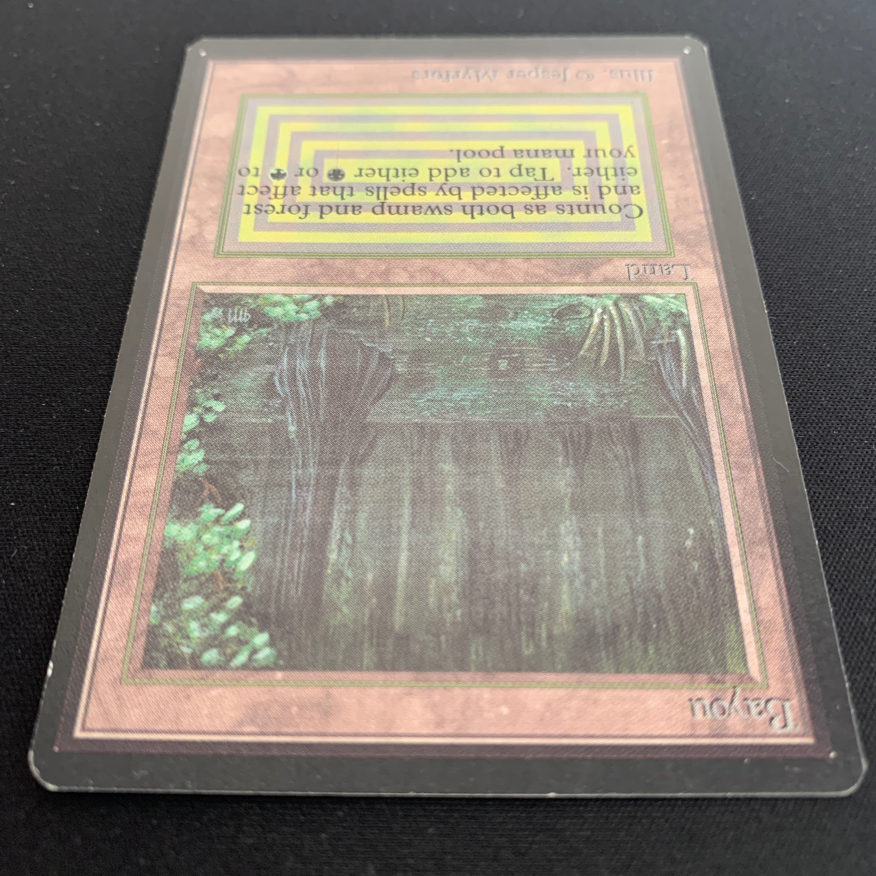 MTG Singles - Bayou - Beta -
