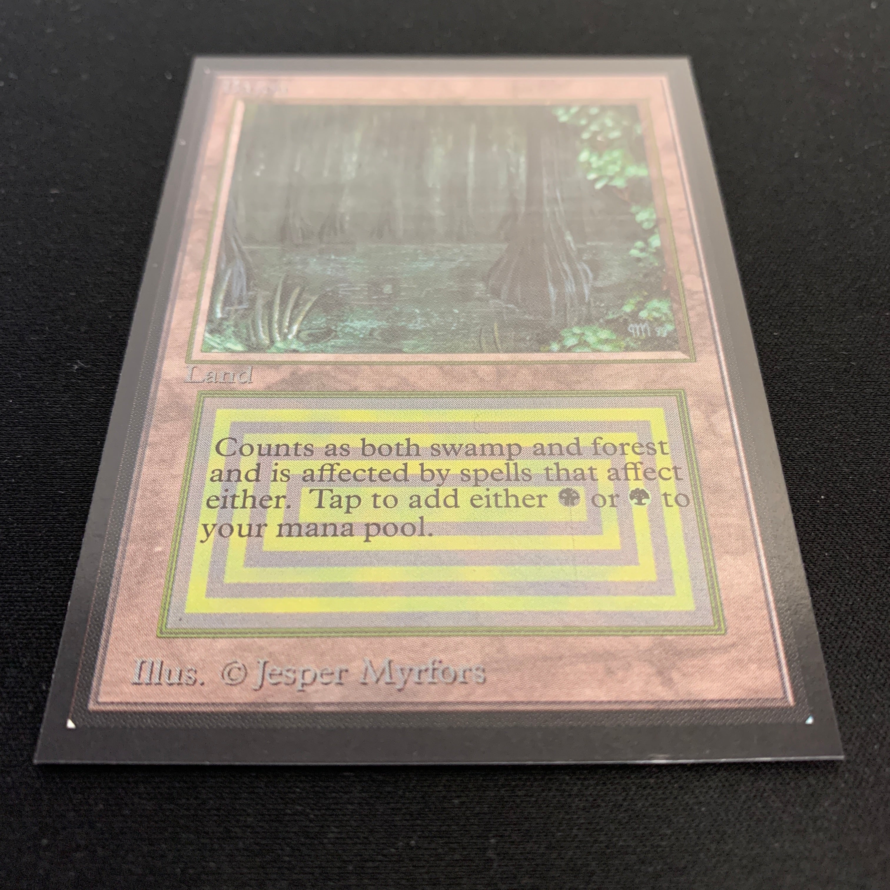MTG Singles - Bayou - Collectors' Edition -