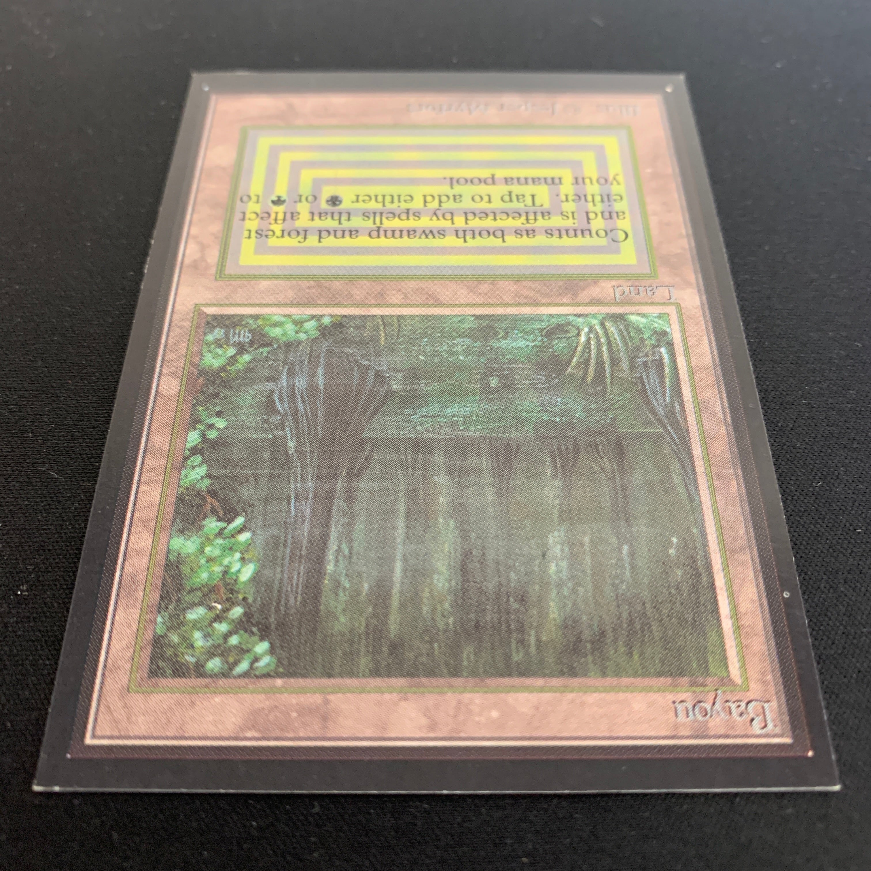 MTG Singles - Bayou - Collectors' Edition -
