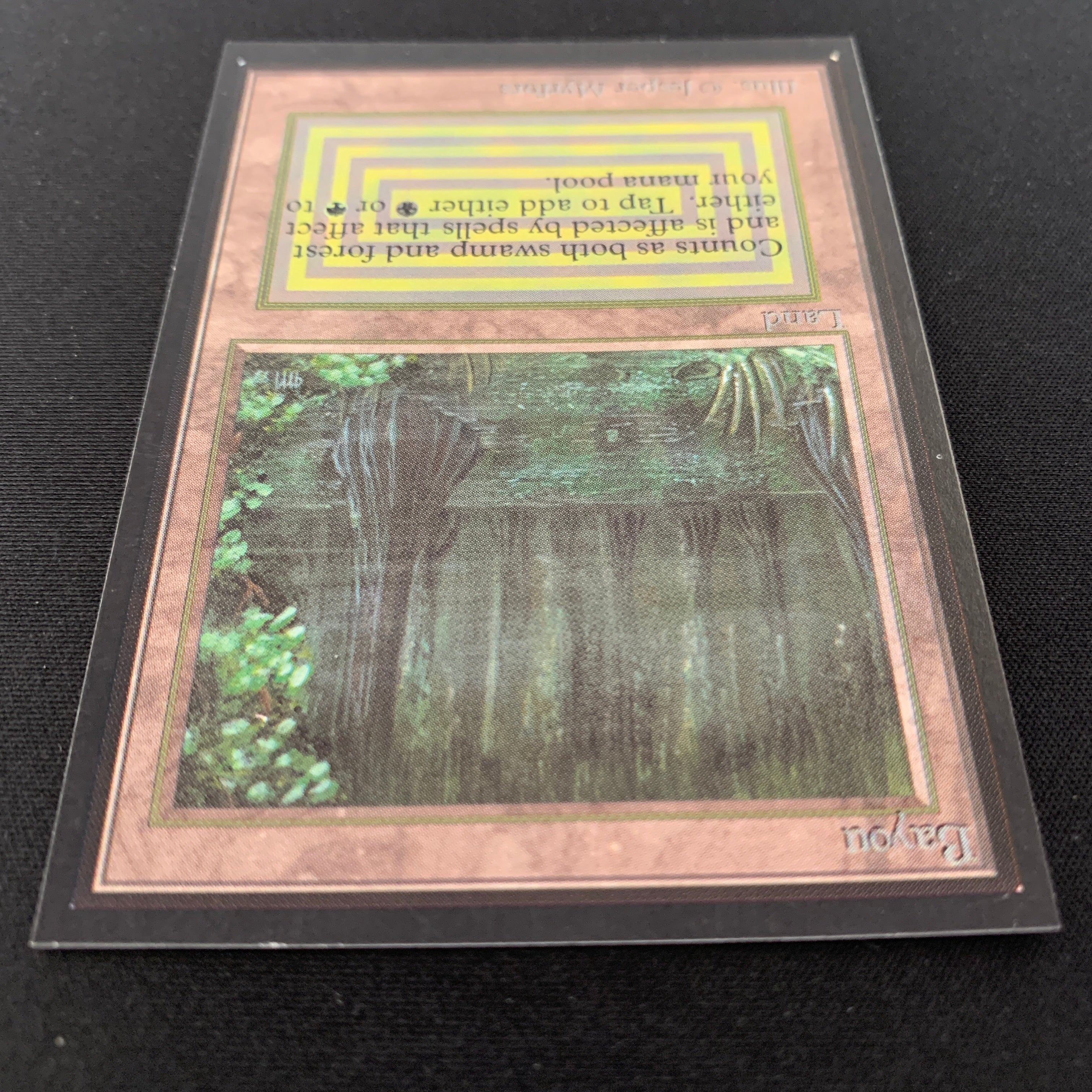 MTG Singles - Bayou - Collectors' Edition -