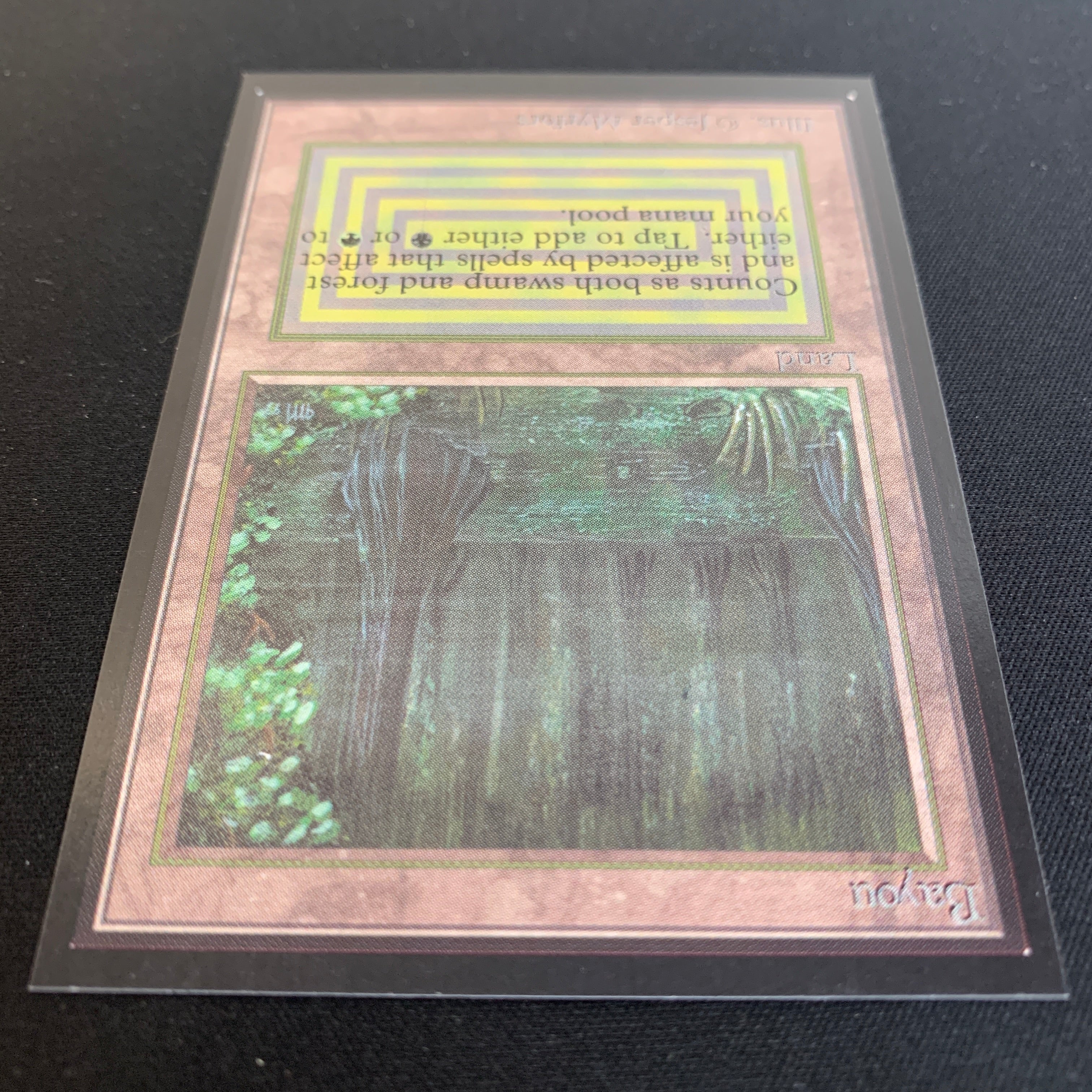 MTG Singles - Bayou - International Edition -