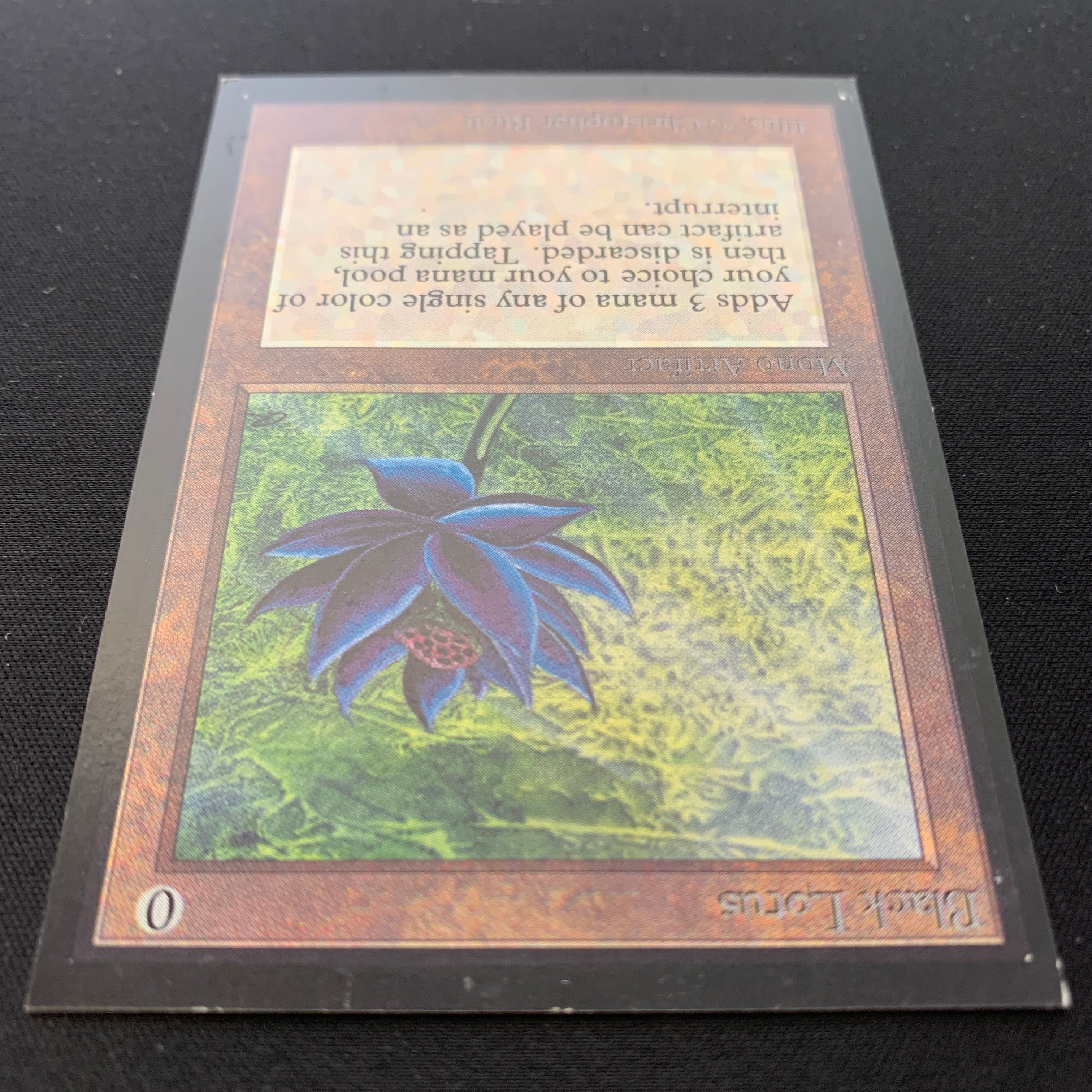 MTG Singles - Black Lotus - International Edition -