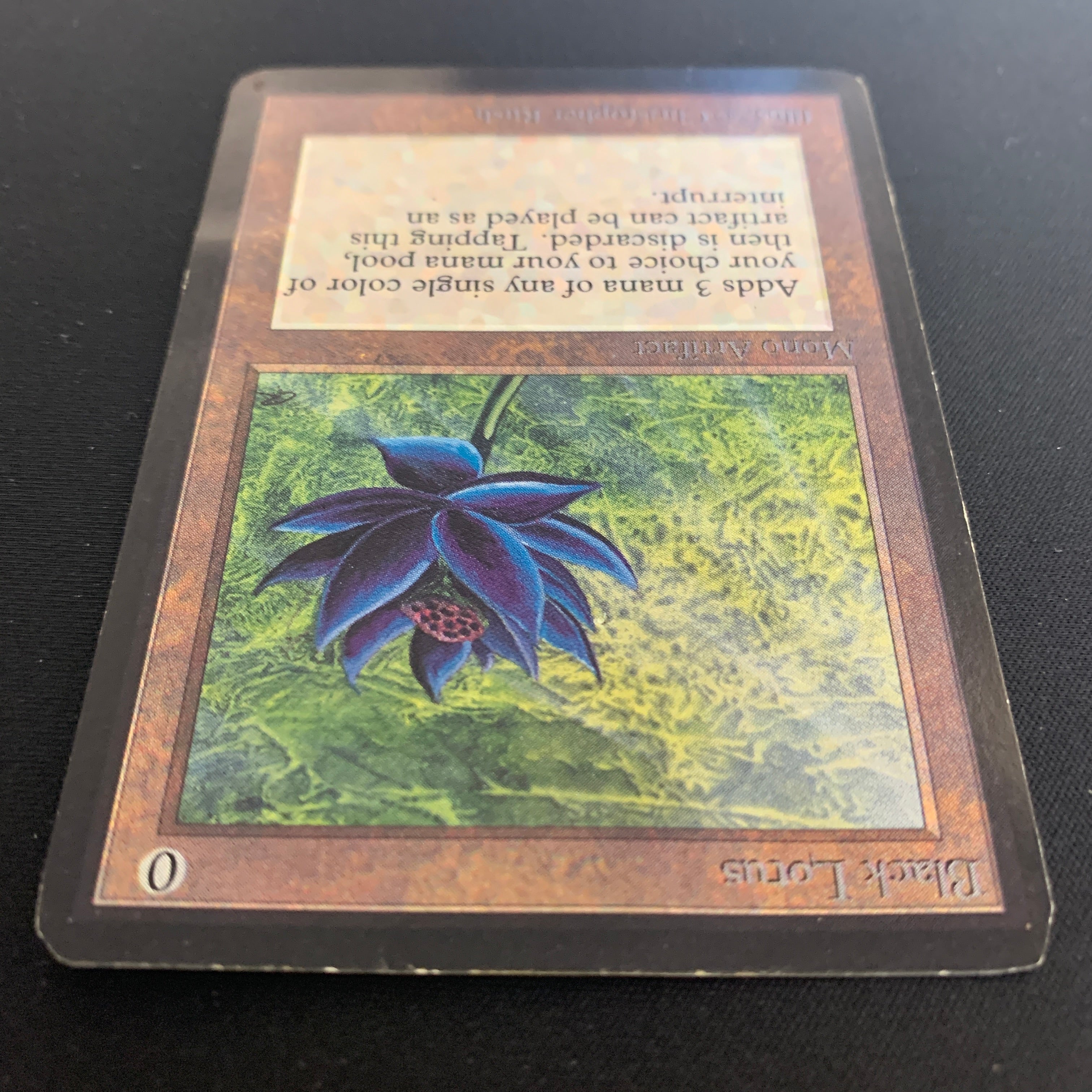 MTG Singles - Black Lotus - International Edition -