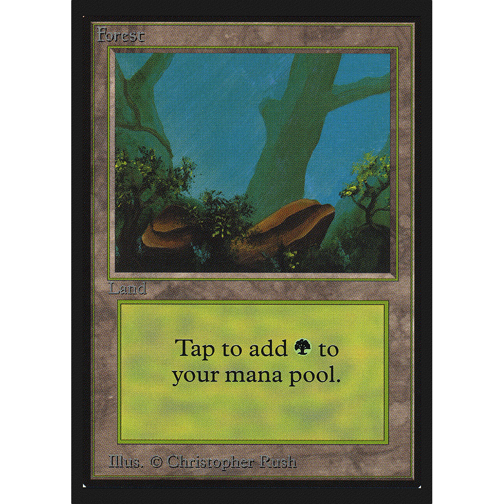 MTG Singles - Forest (V.1) - International Edition - Regular