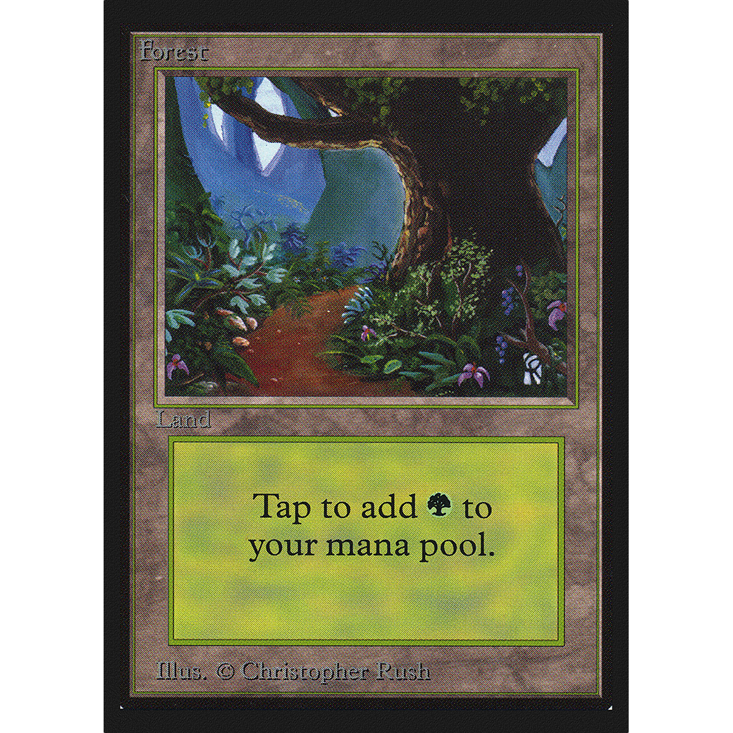 MTG Singles - Forest (V.2) - International Edition - Regular