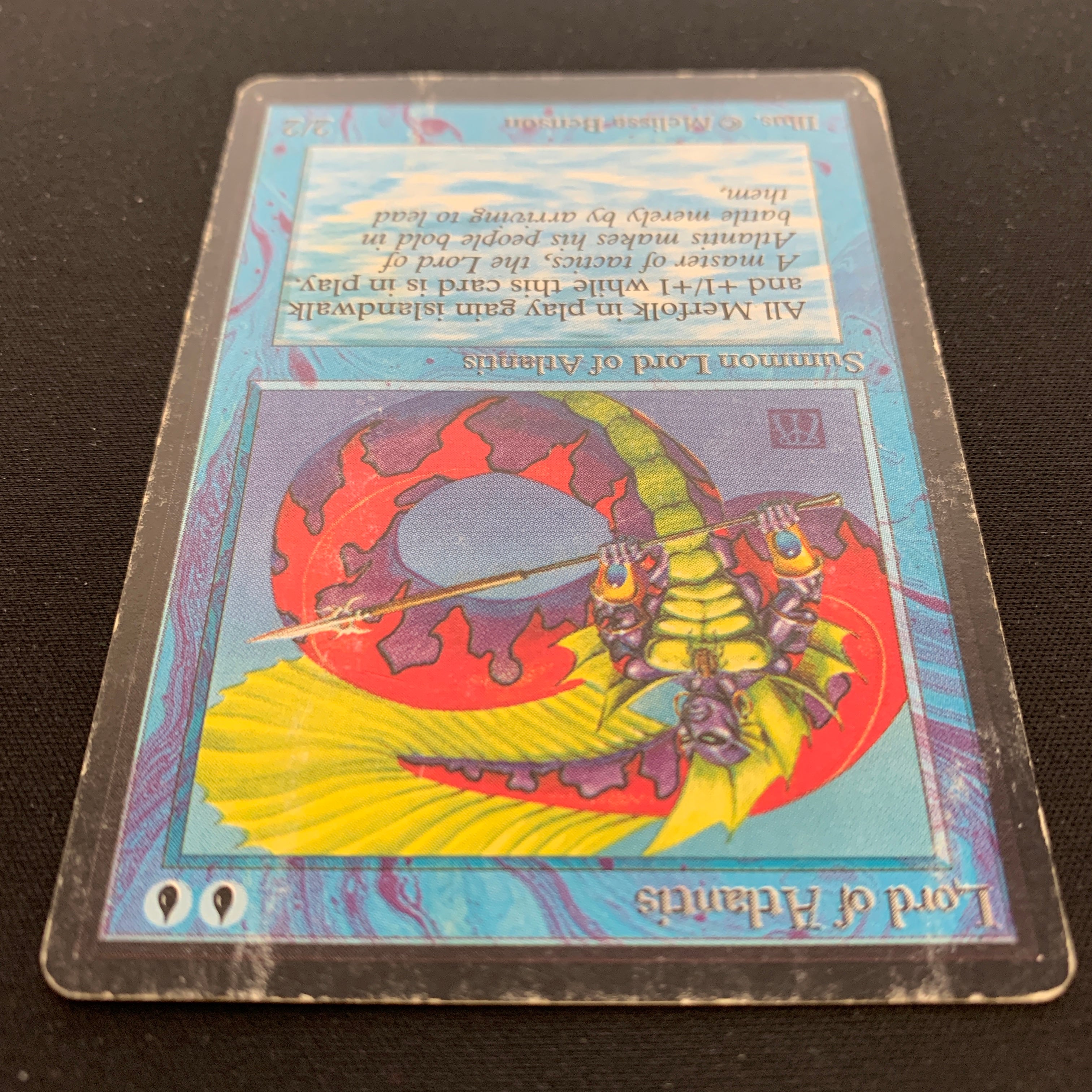 MTG Singles - Lord of Atlantis - Beta -