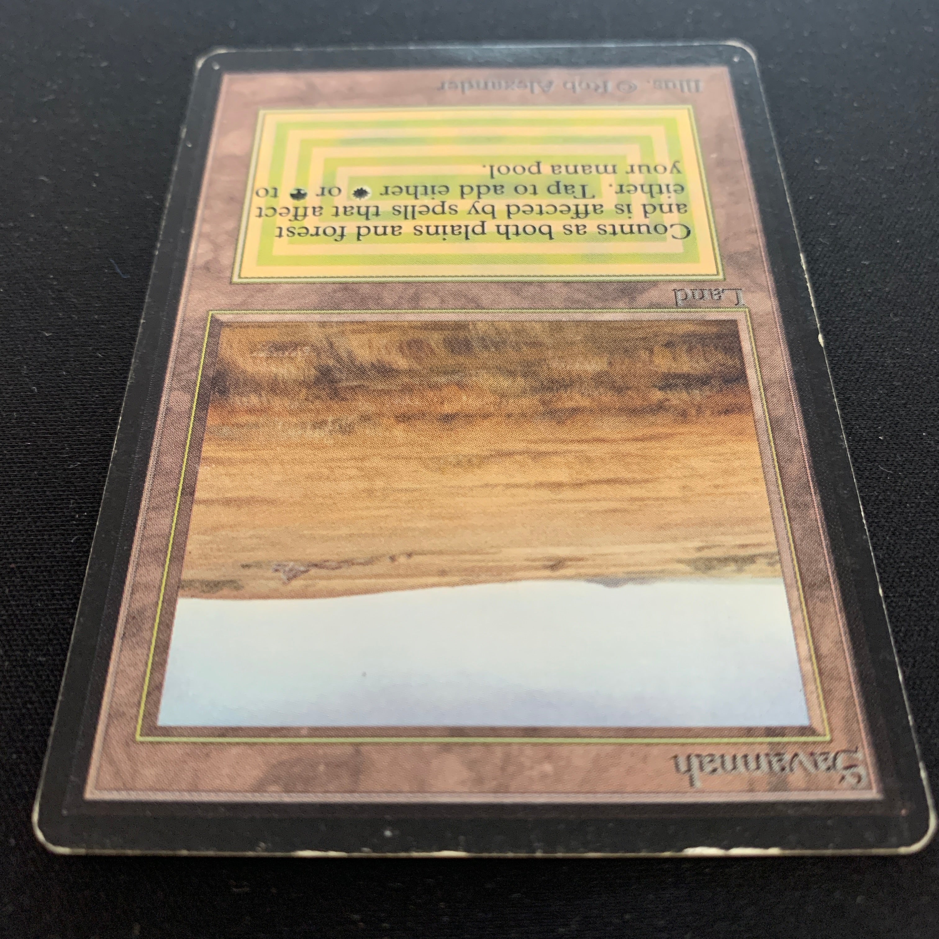 MTG Singles - Savannah - Beta -