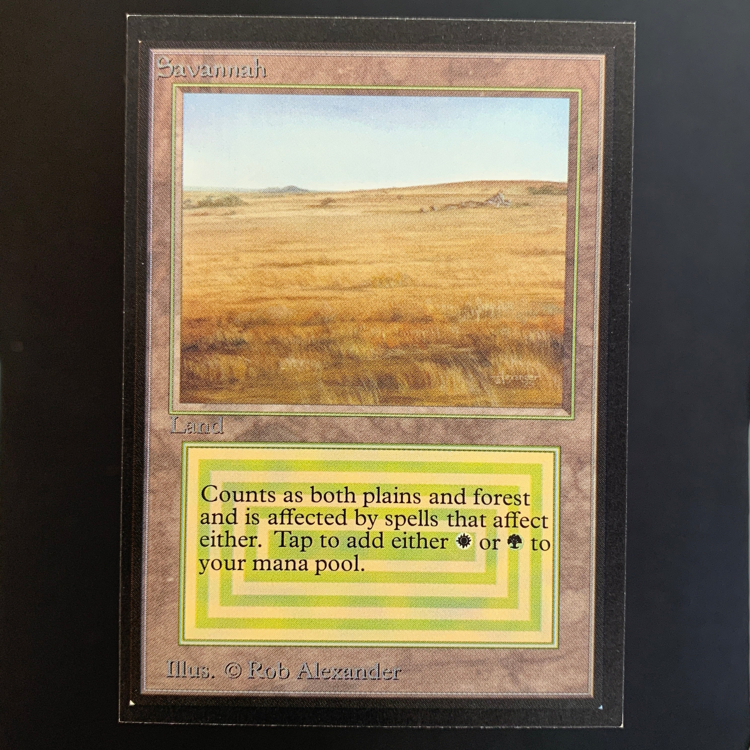 MTG Singles - Savannah - International Edition -