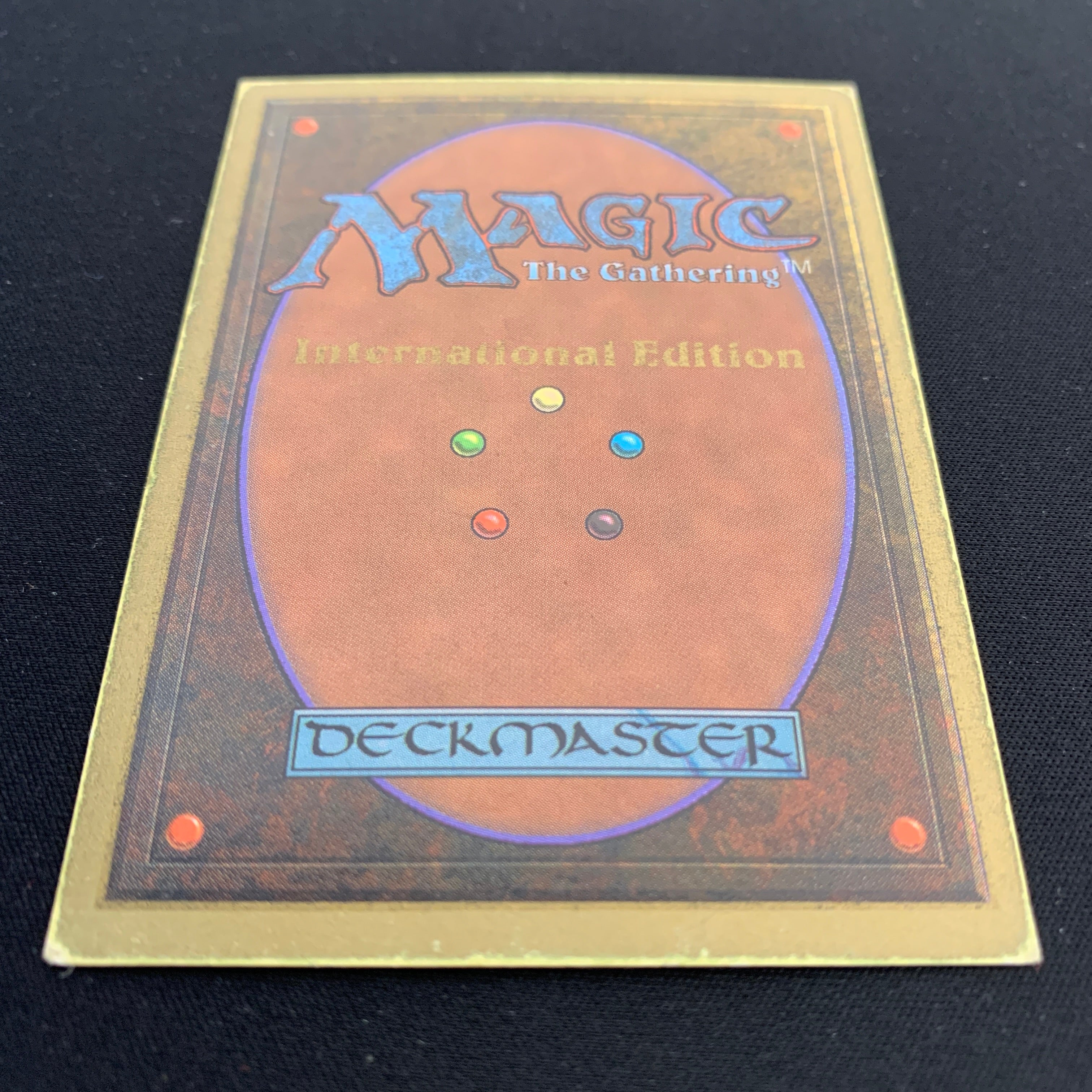 MTG Singles - Savannah - International Edition -