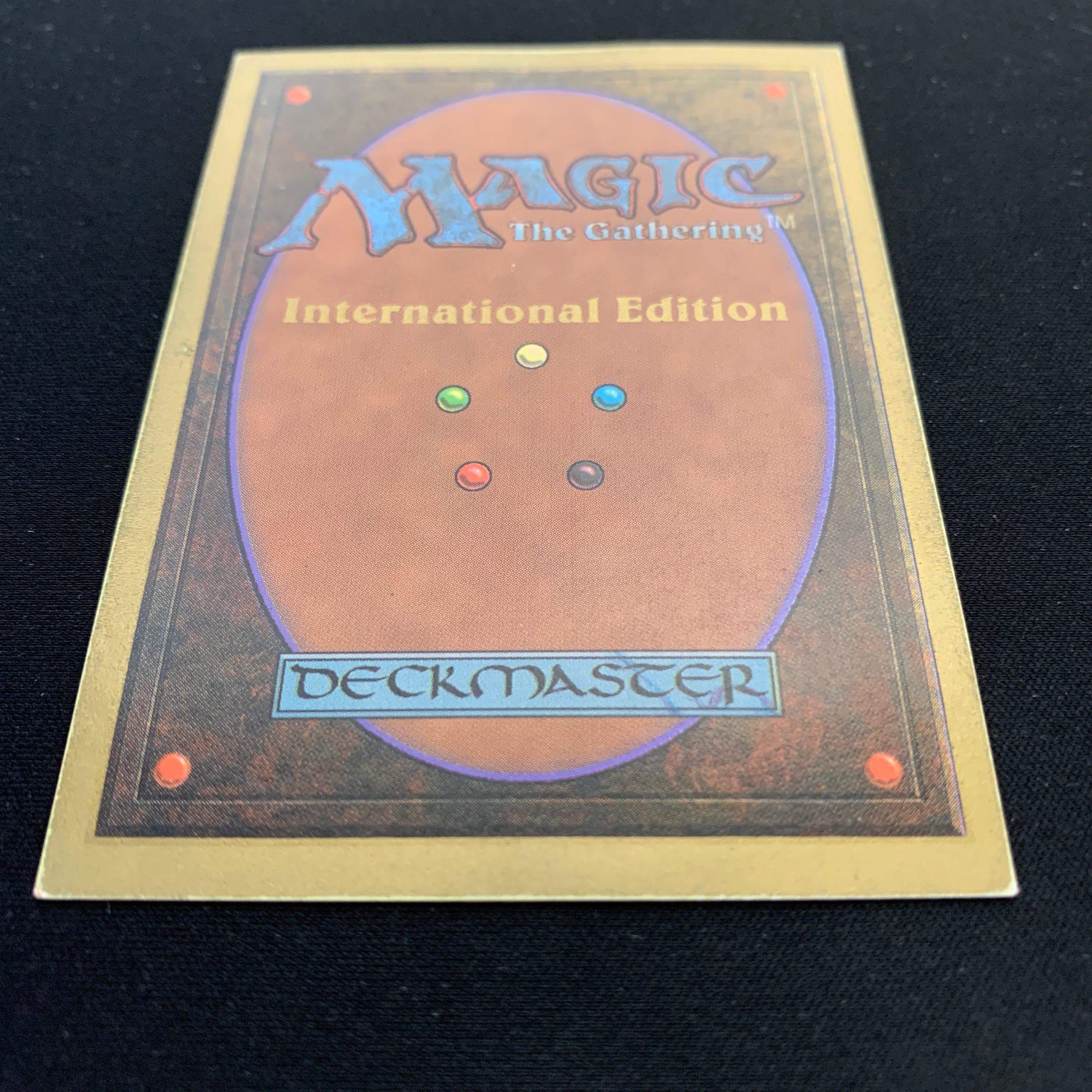 MTG Singles - Savannah - International Edition -