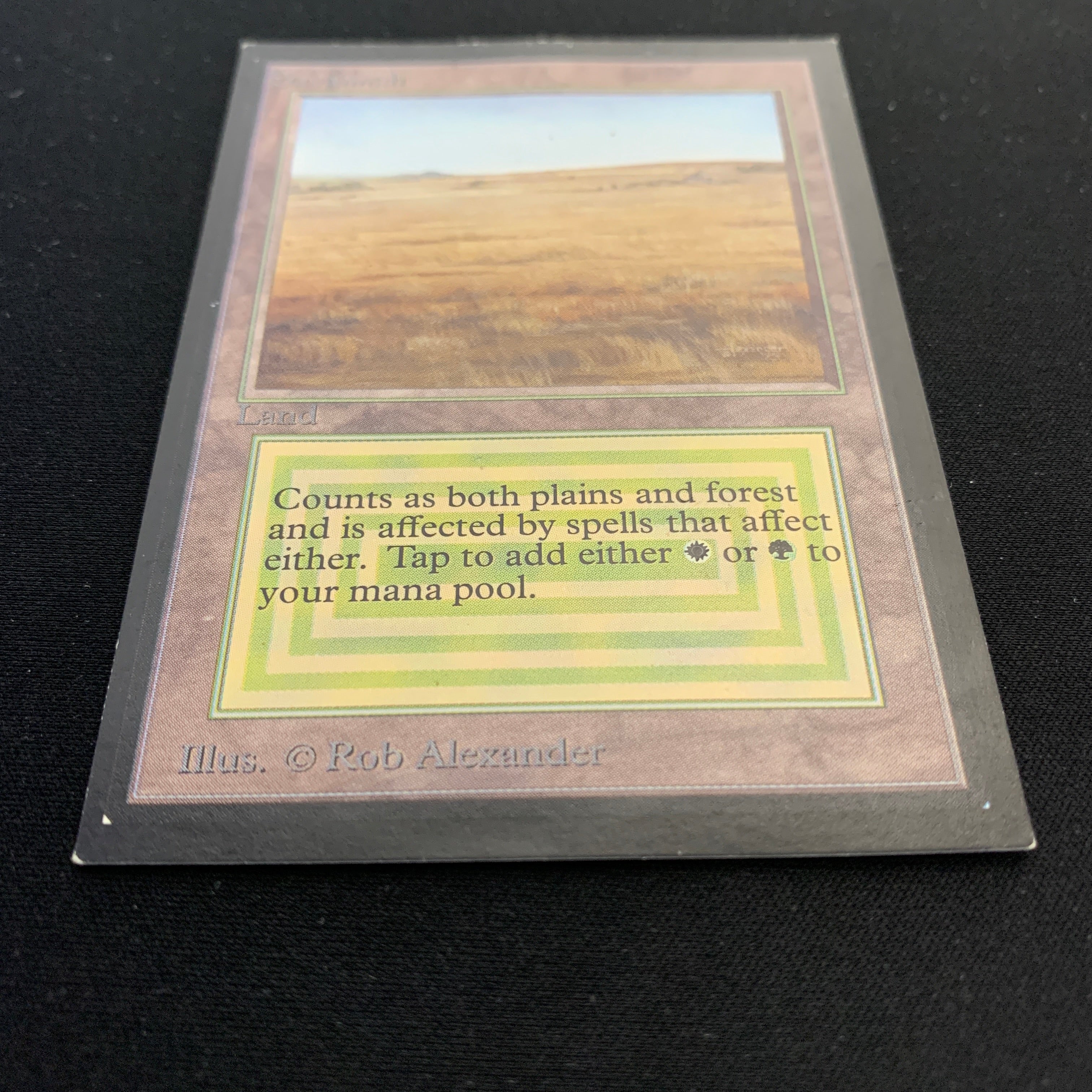 MTG Singles - Savannah - International Edition -