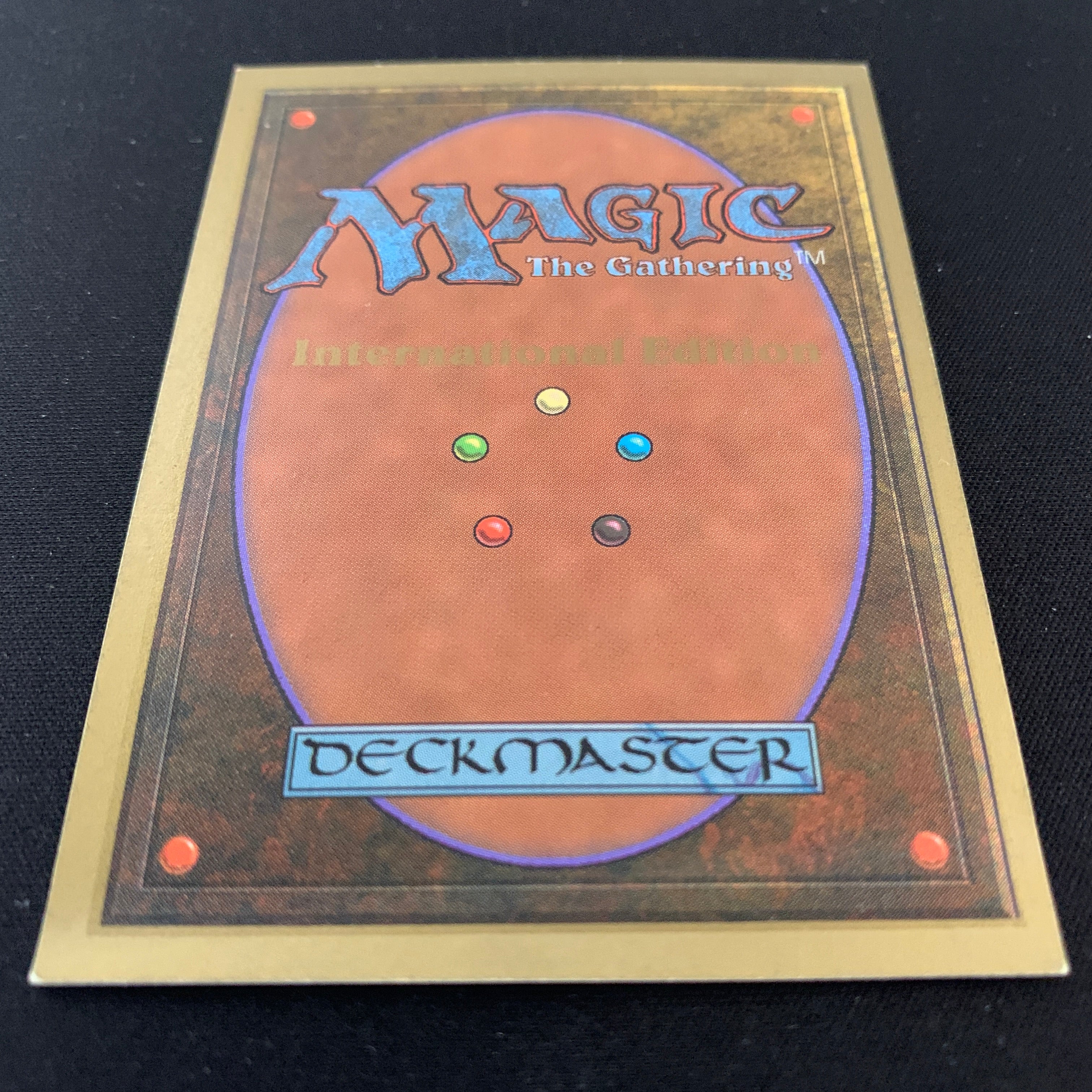MTG Singles - Savannah - International Edition -