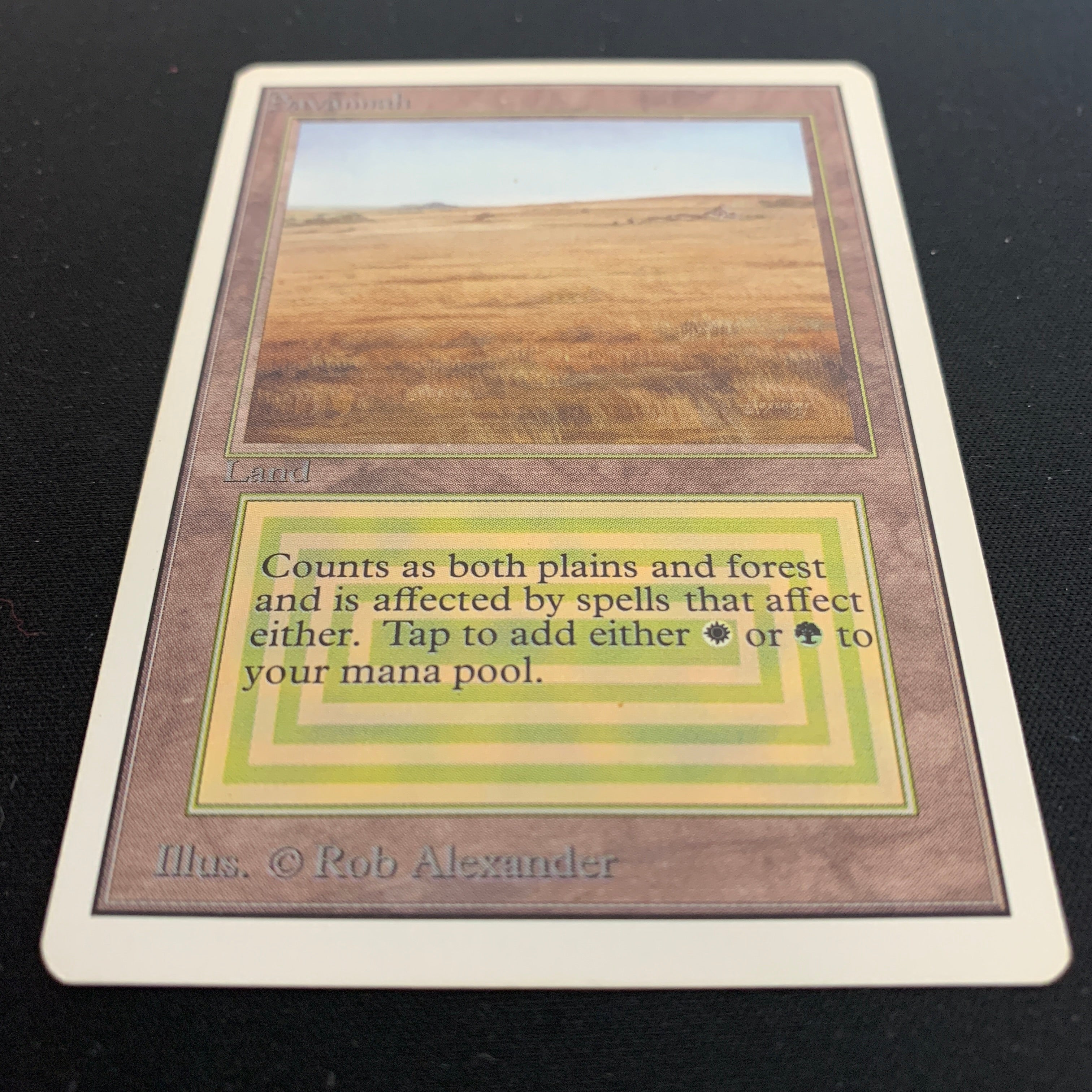 MTG Singles - Savannah - Unlimited -