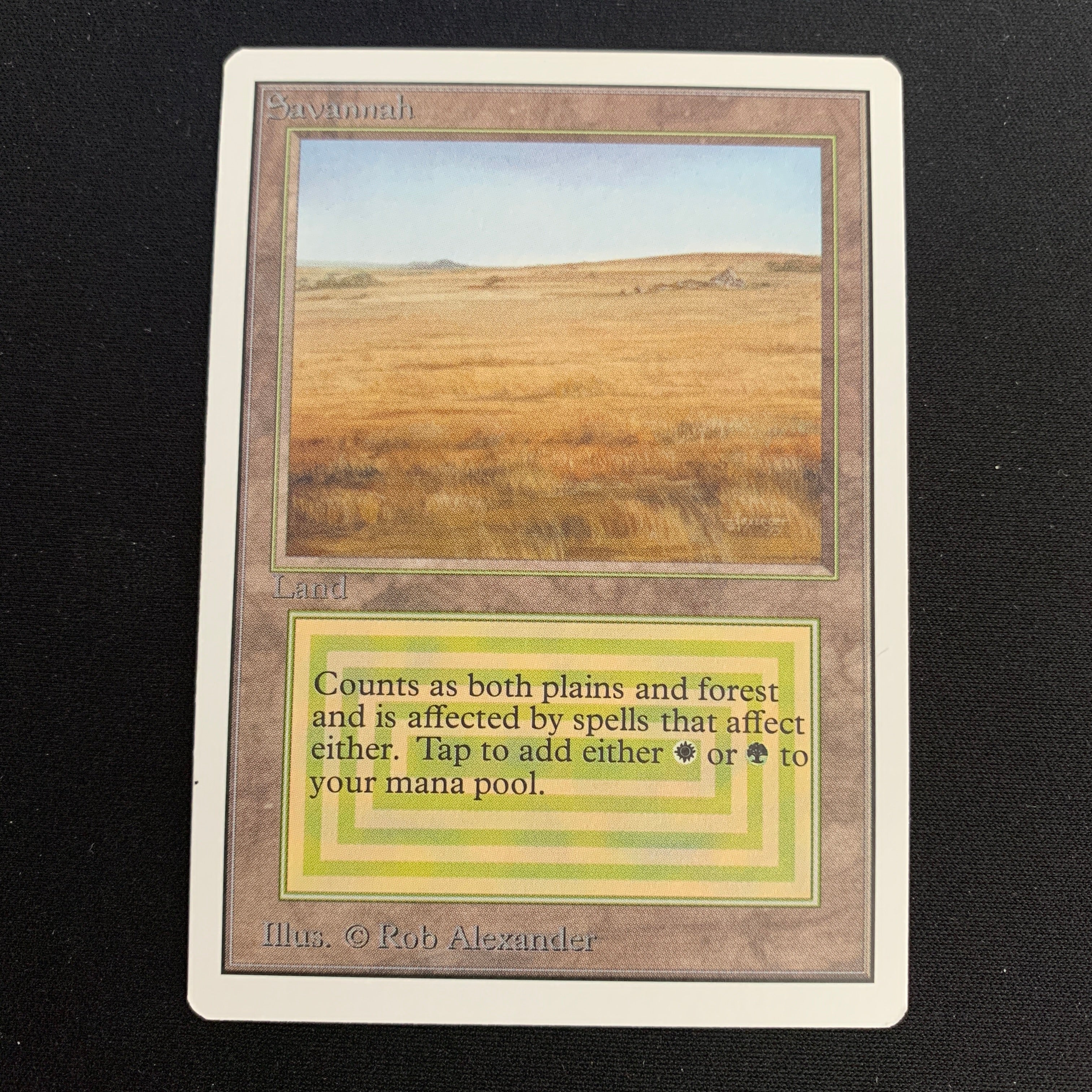 MTG Singles - Savannah - Unlimited -