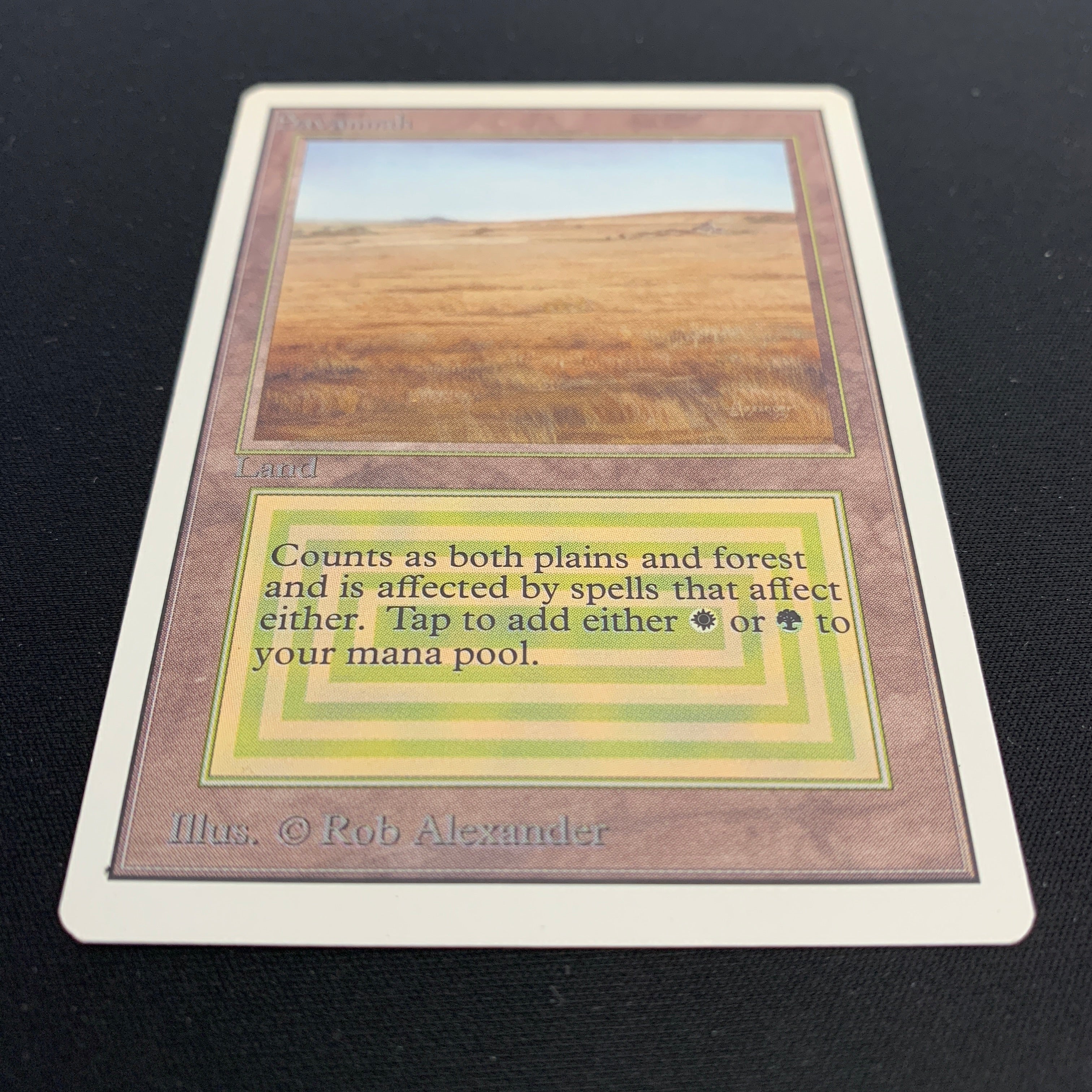 MTG Singles - Savannah - Unlimited -