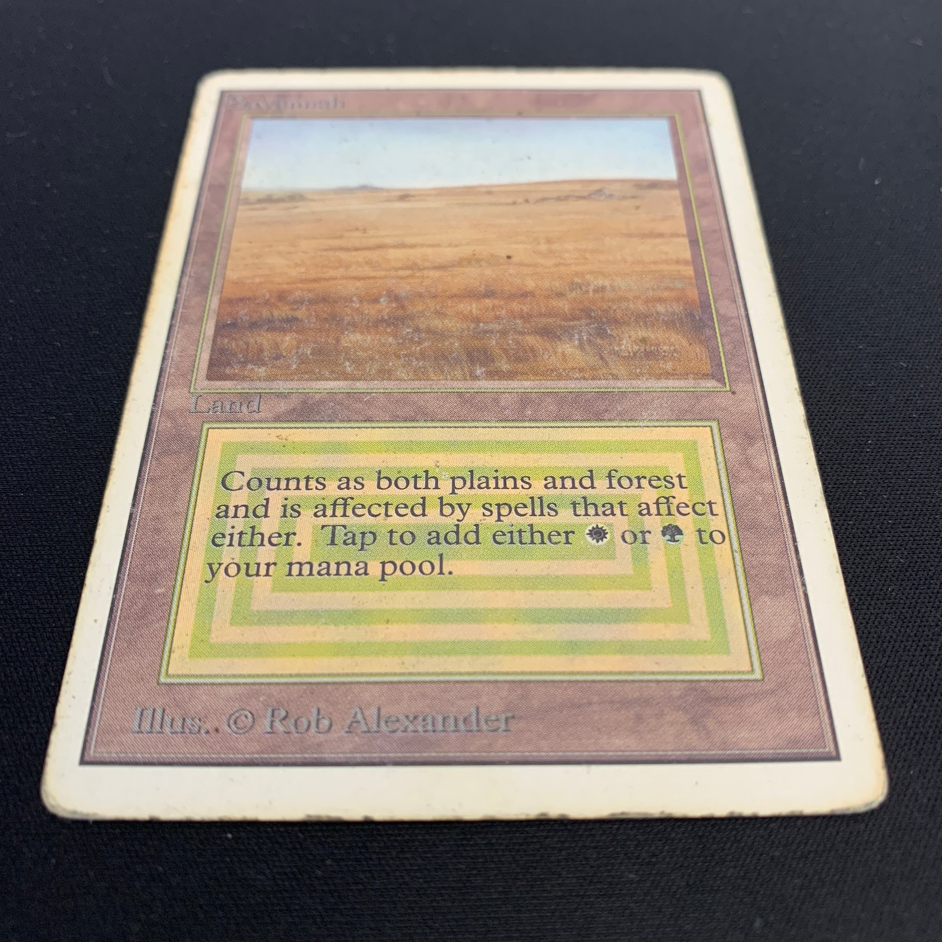 MTG Singles - Savannah - Unlimited -