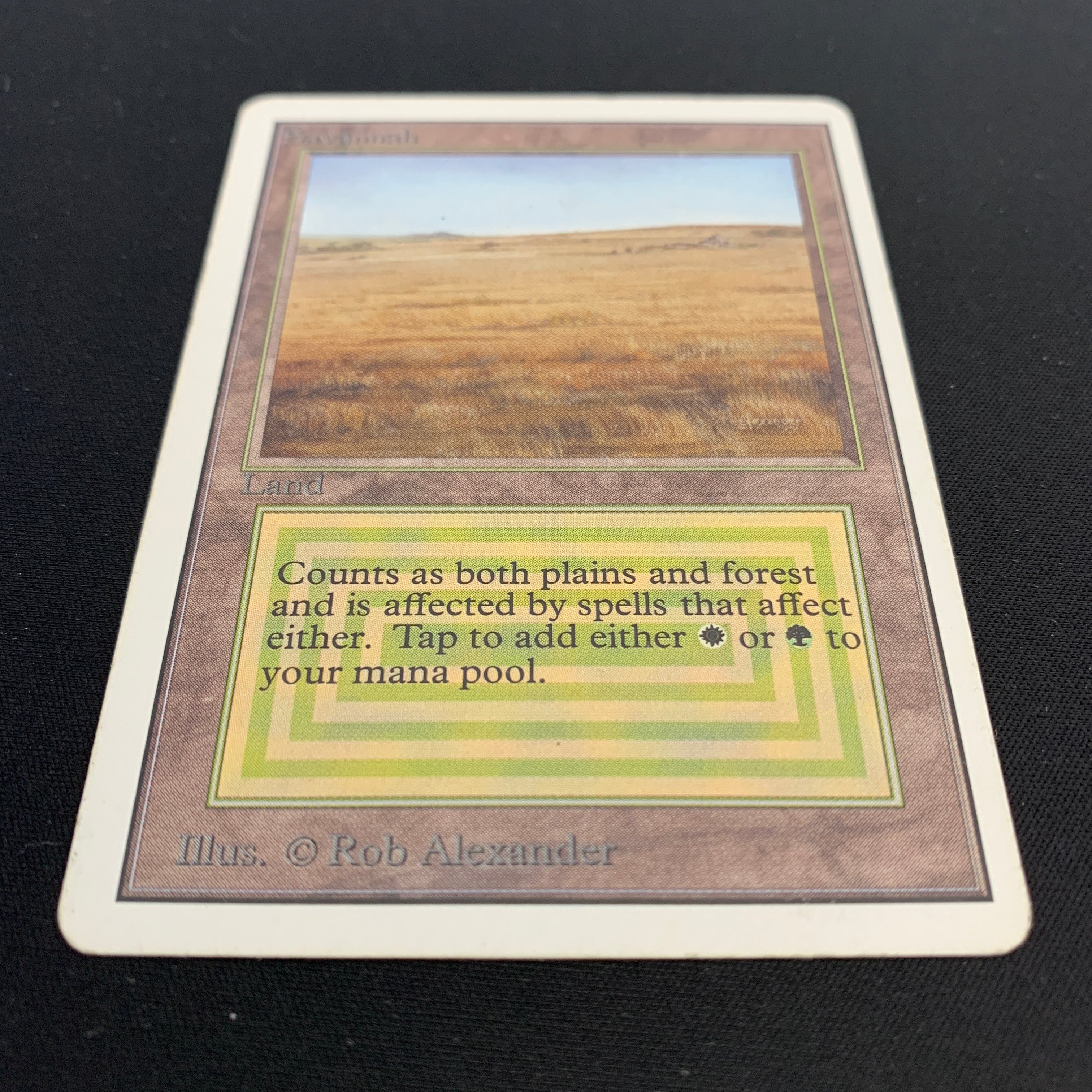 MTG Singles - Savannah - Unlimited -