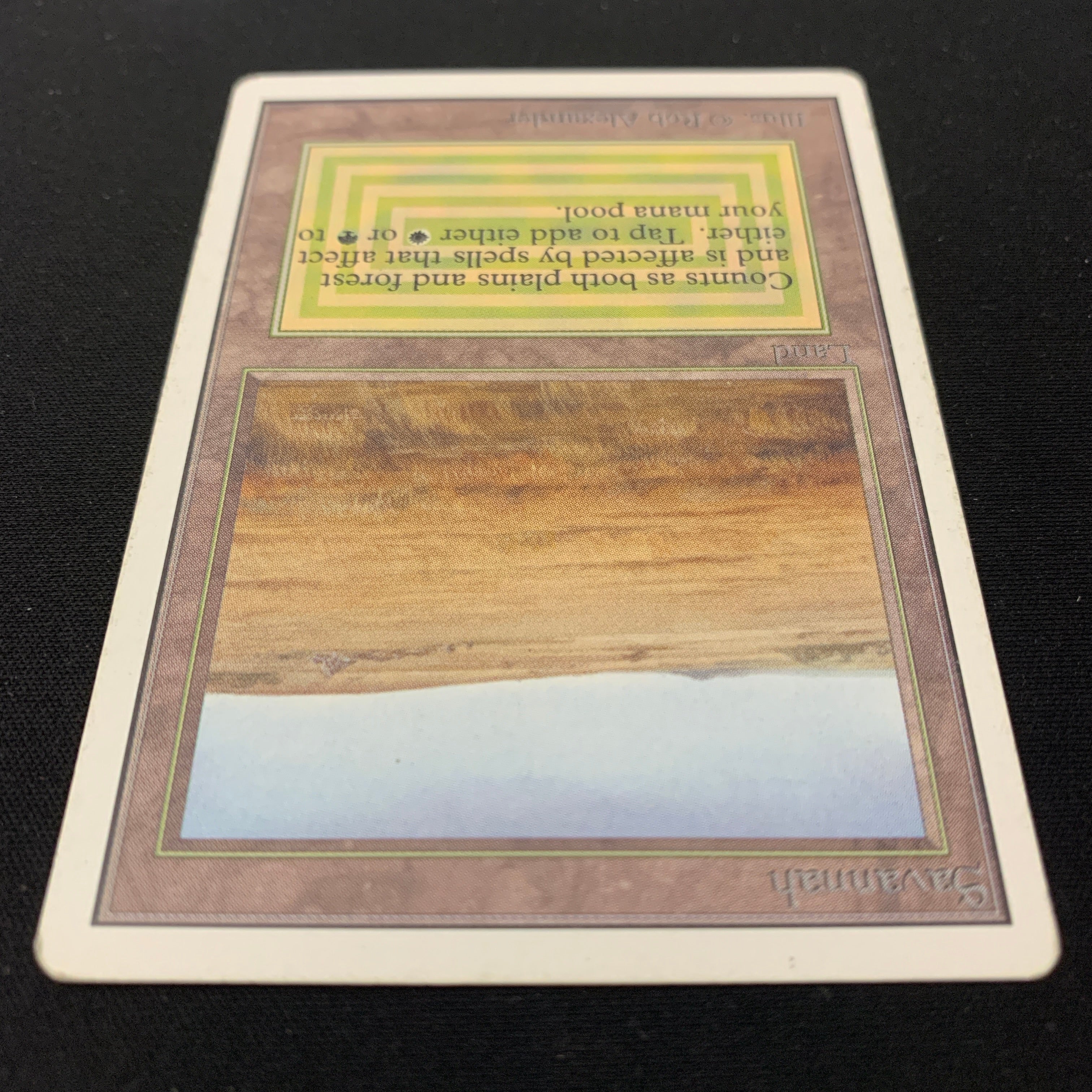 MTG Singles - Savannah - Unlimited -