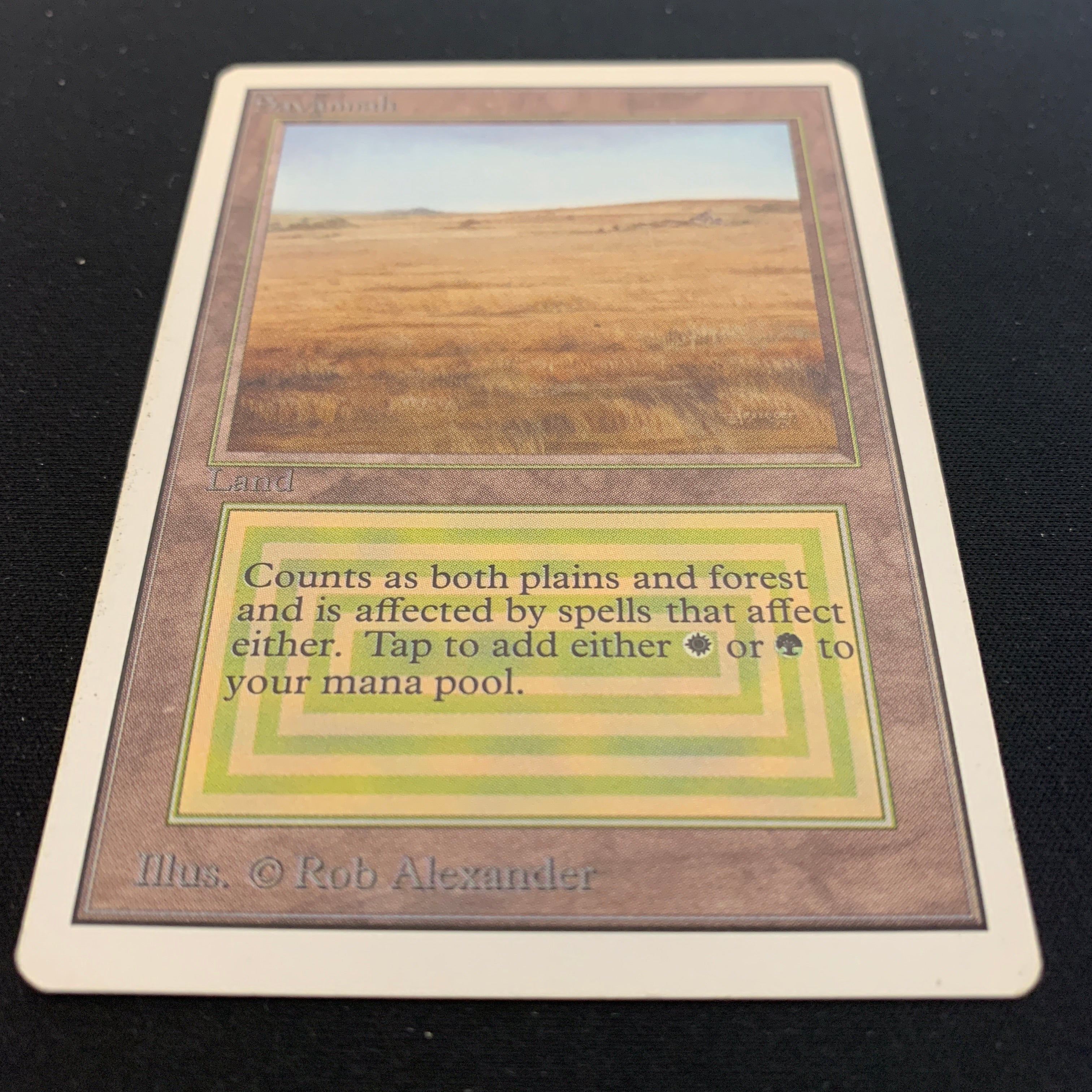MTG Singles - Savannah - Unlimited -