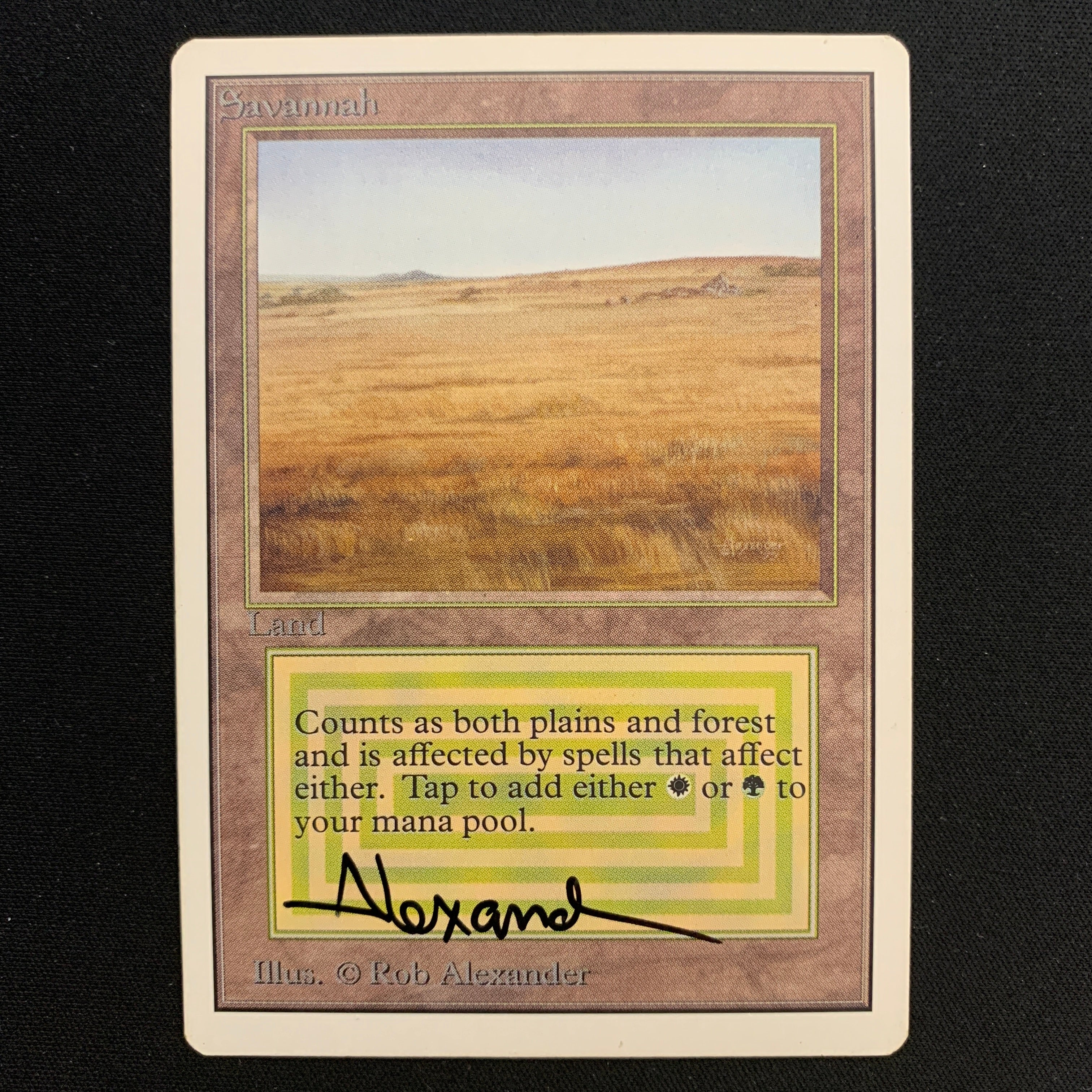 MTG Singles - Savannah - Unlimited -