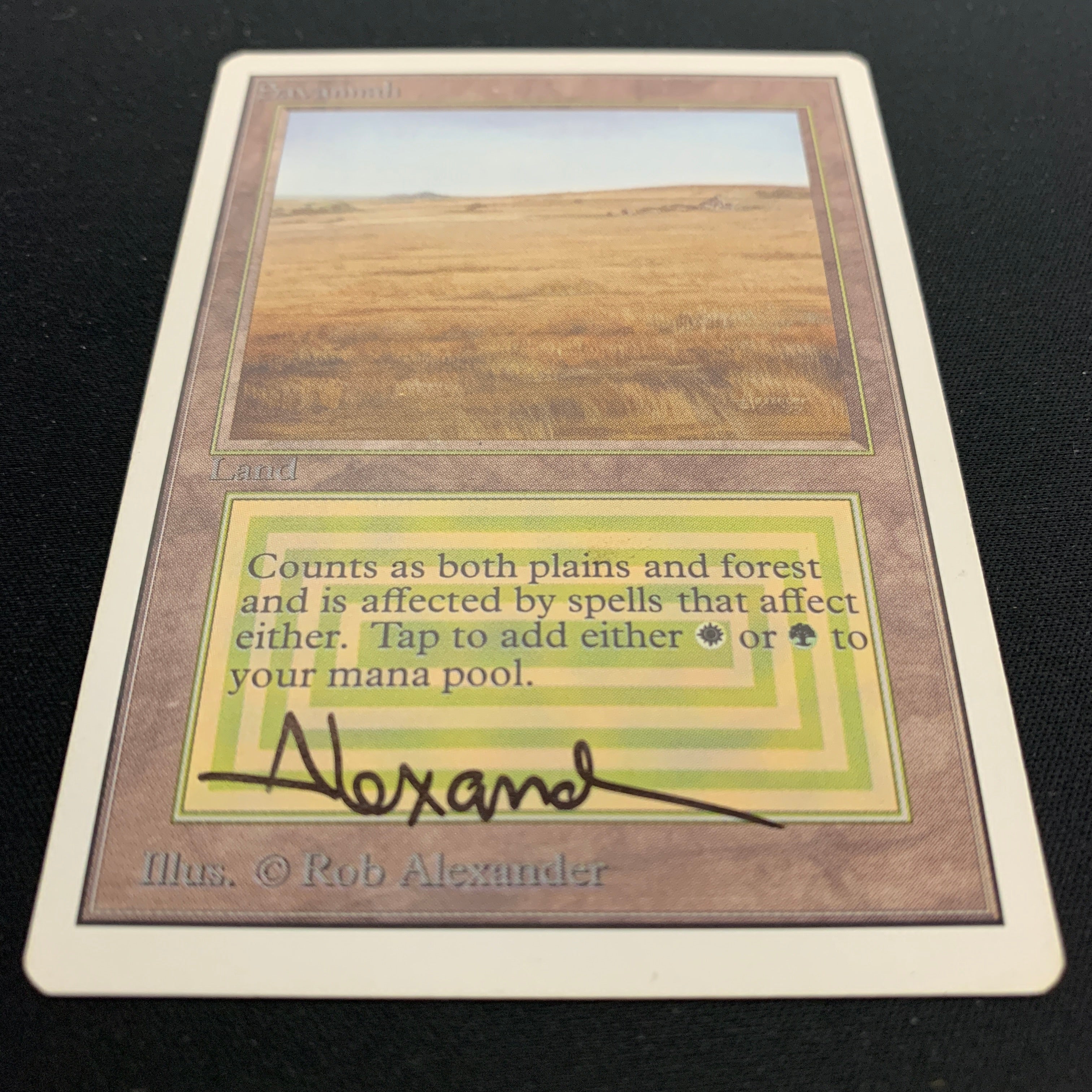 MTG Singles - Savannah - Unlimited -