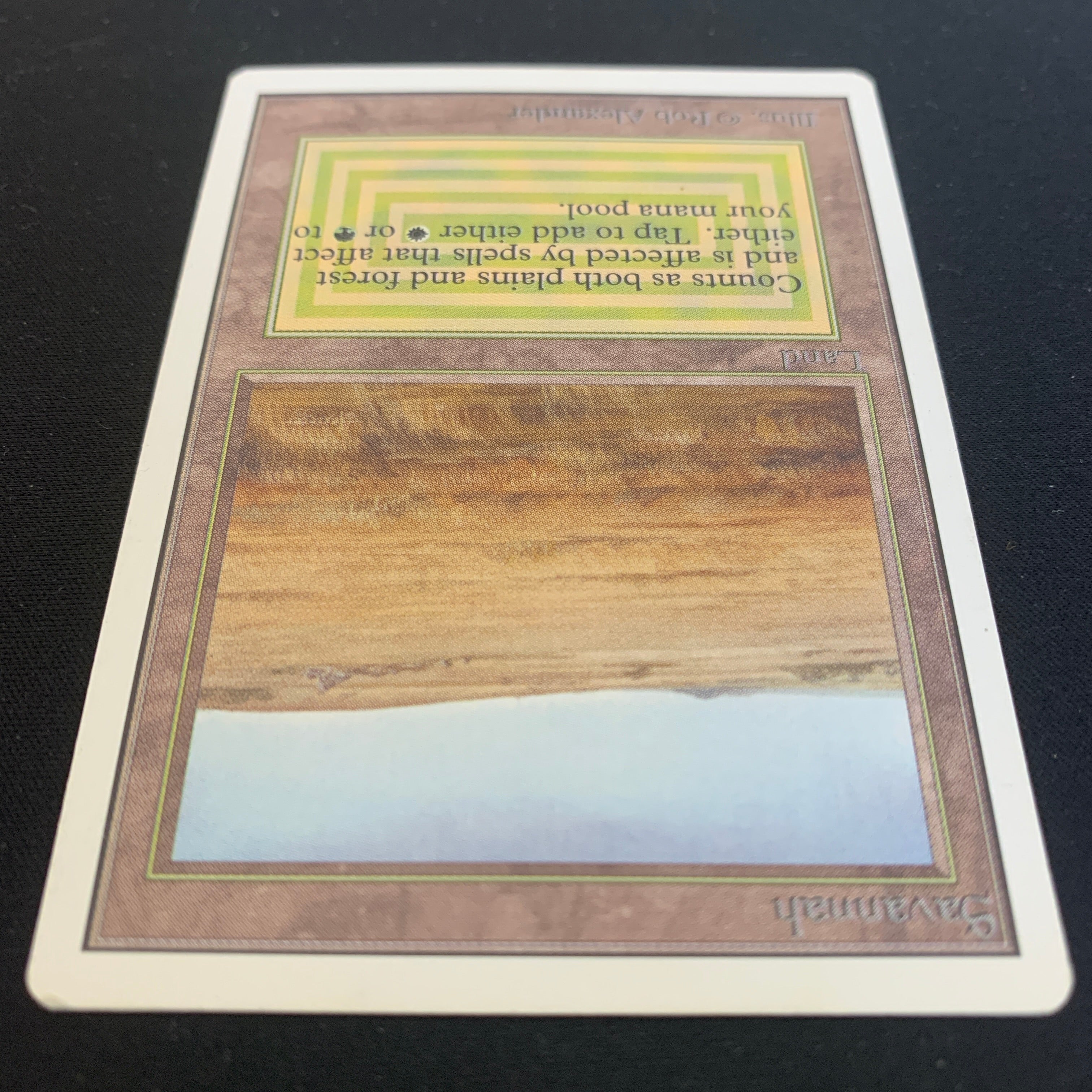 MTG Singles - Savannah - Unlimited -