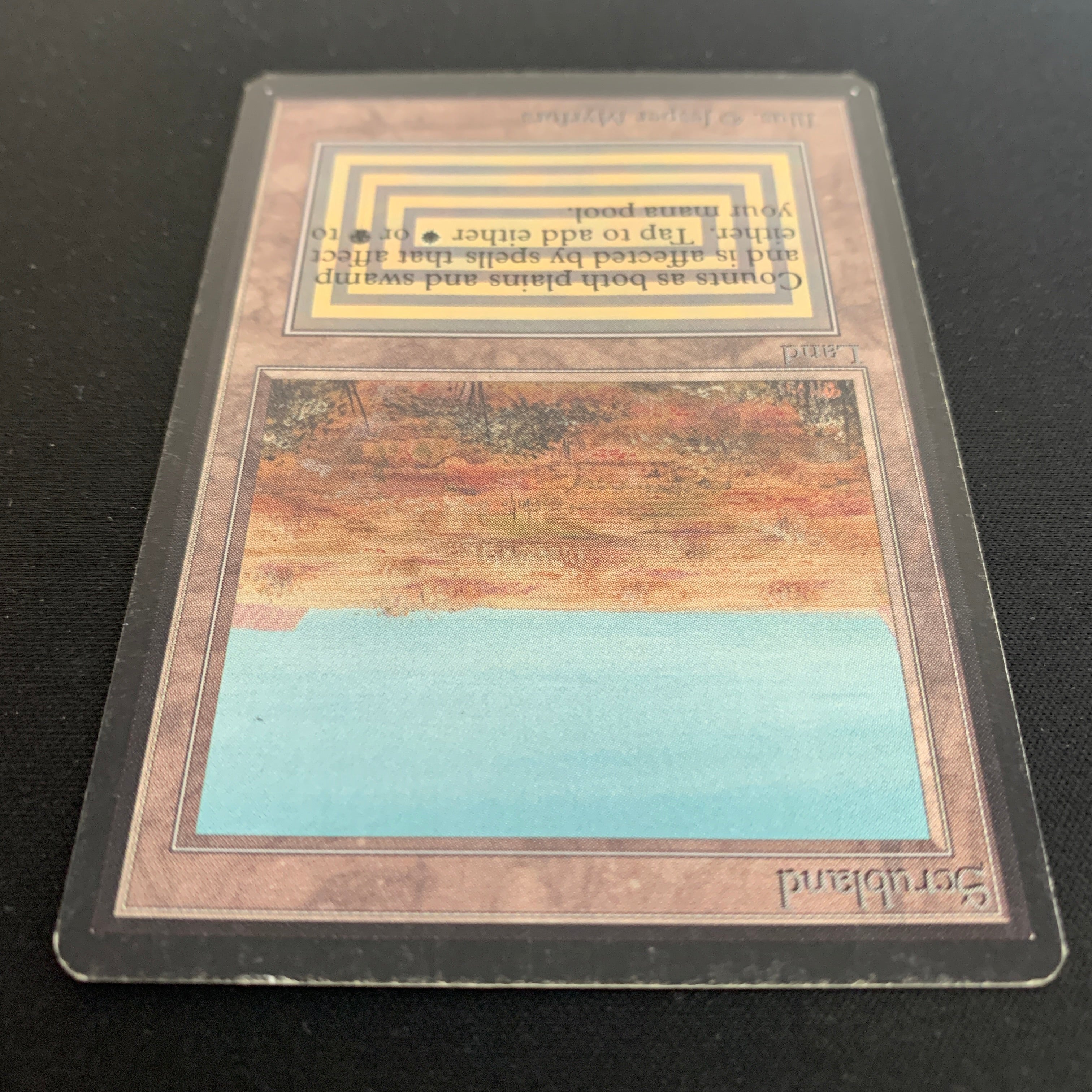 MTG Singles - Scrubland - Beta -